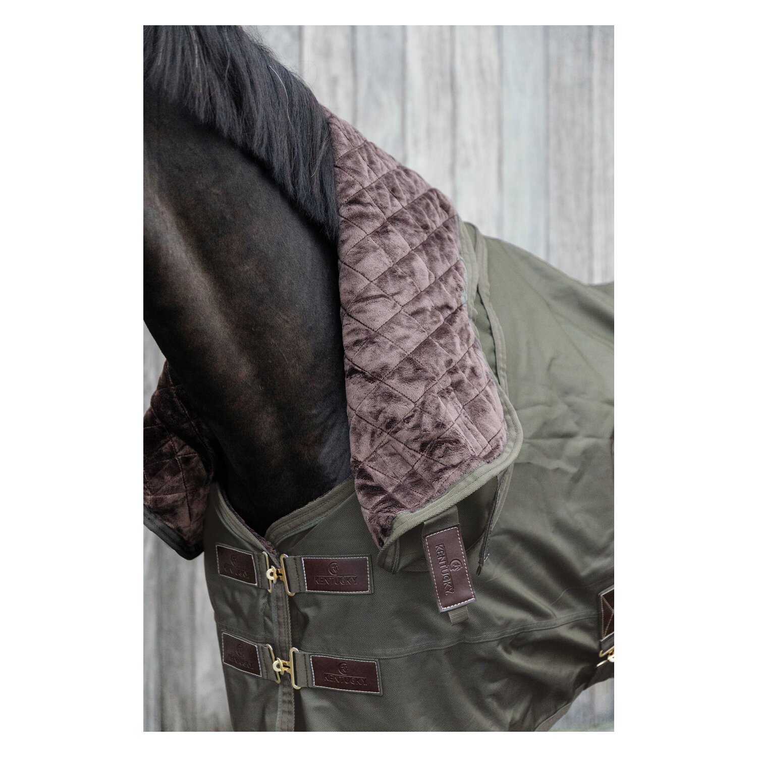 KENTUCKY Weidedecke All Weather Waterproof Pro 160 g – Ansicht 5