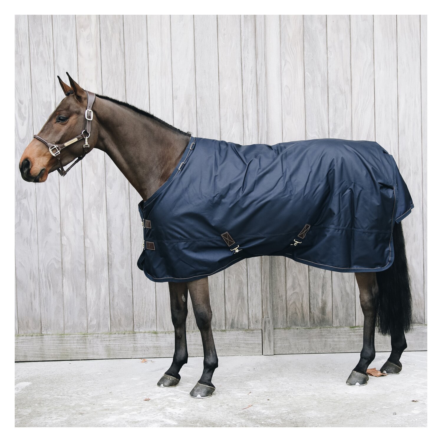 KENTUCKY Weidedecke All Weather Waterproof Pro 160 g – Ansicht 2