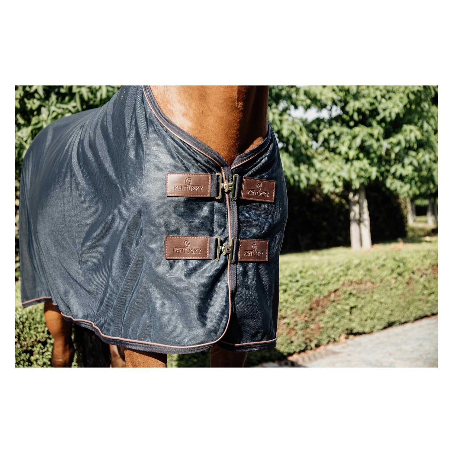 KENTUCKY Fliegendecke Mesh – Ansicht 2