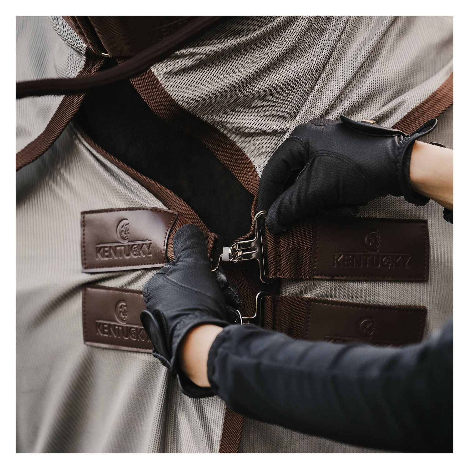 KENTUCKY Fliegendecke Mesh Classic – Ansicht 4