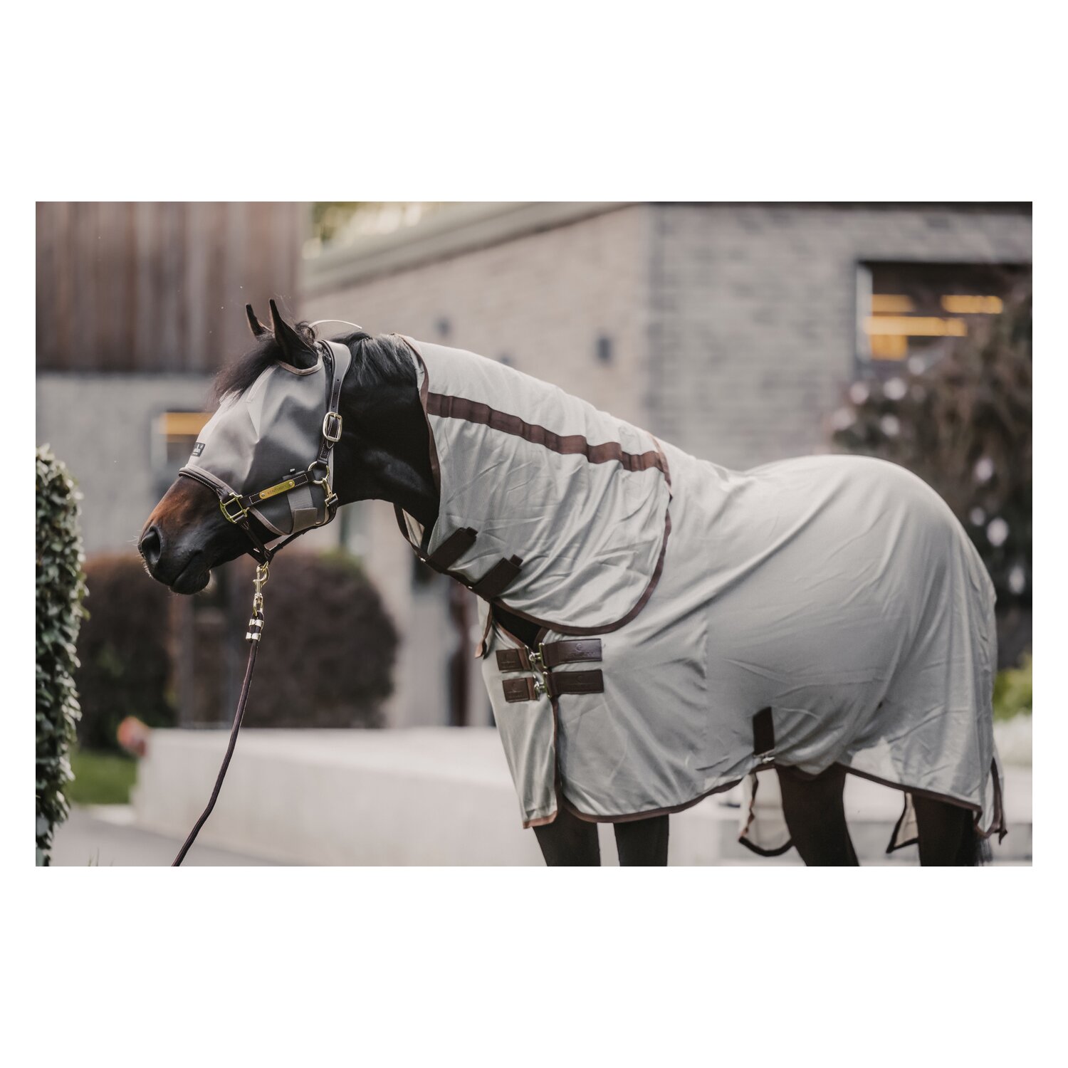 KENTUCKY Fliegendecke Mesh Classic – Ansicht 2