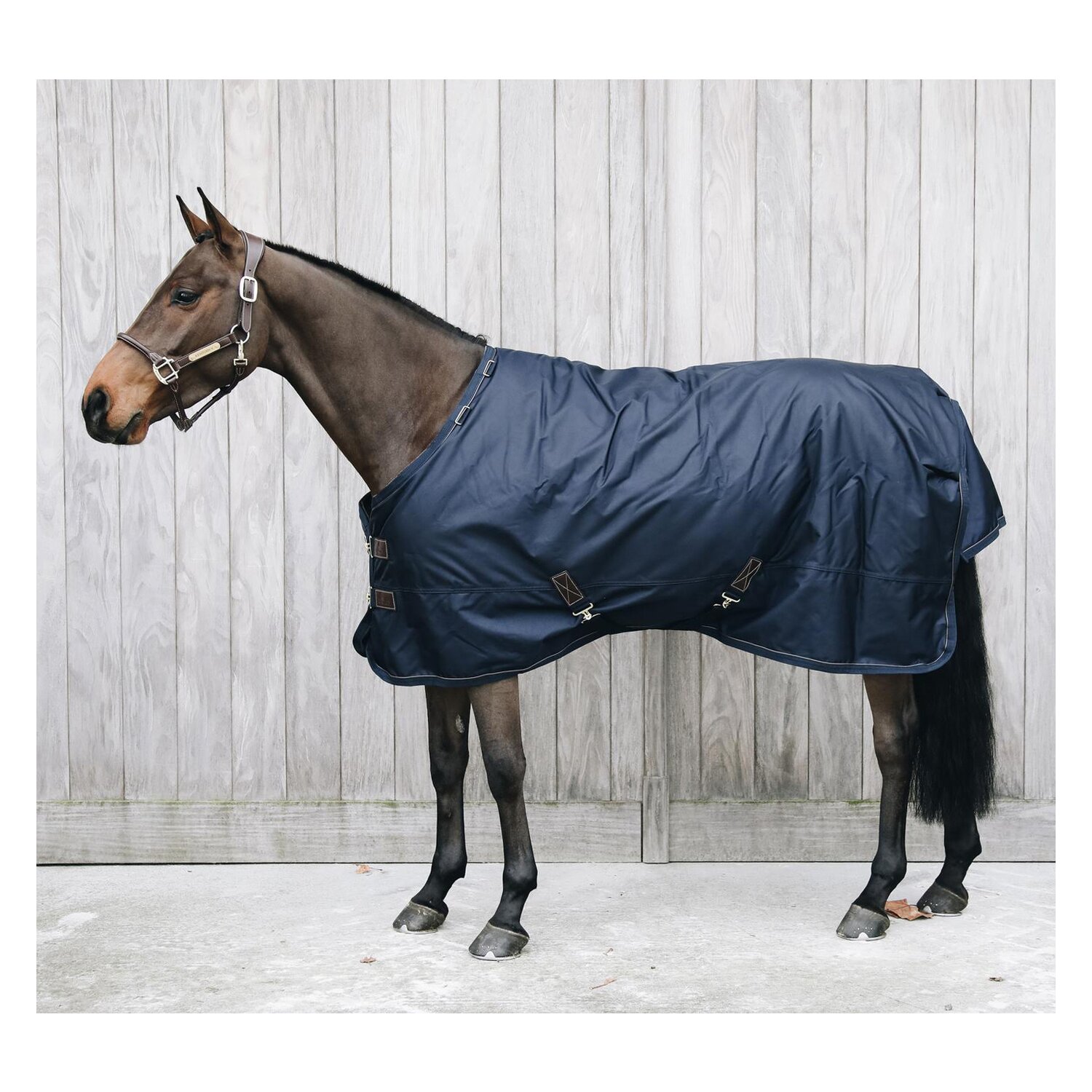 KENTUCKY Weidedecke All Weather Pro – Ansicht 2