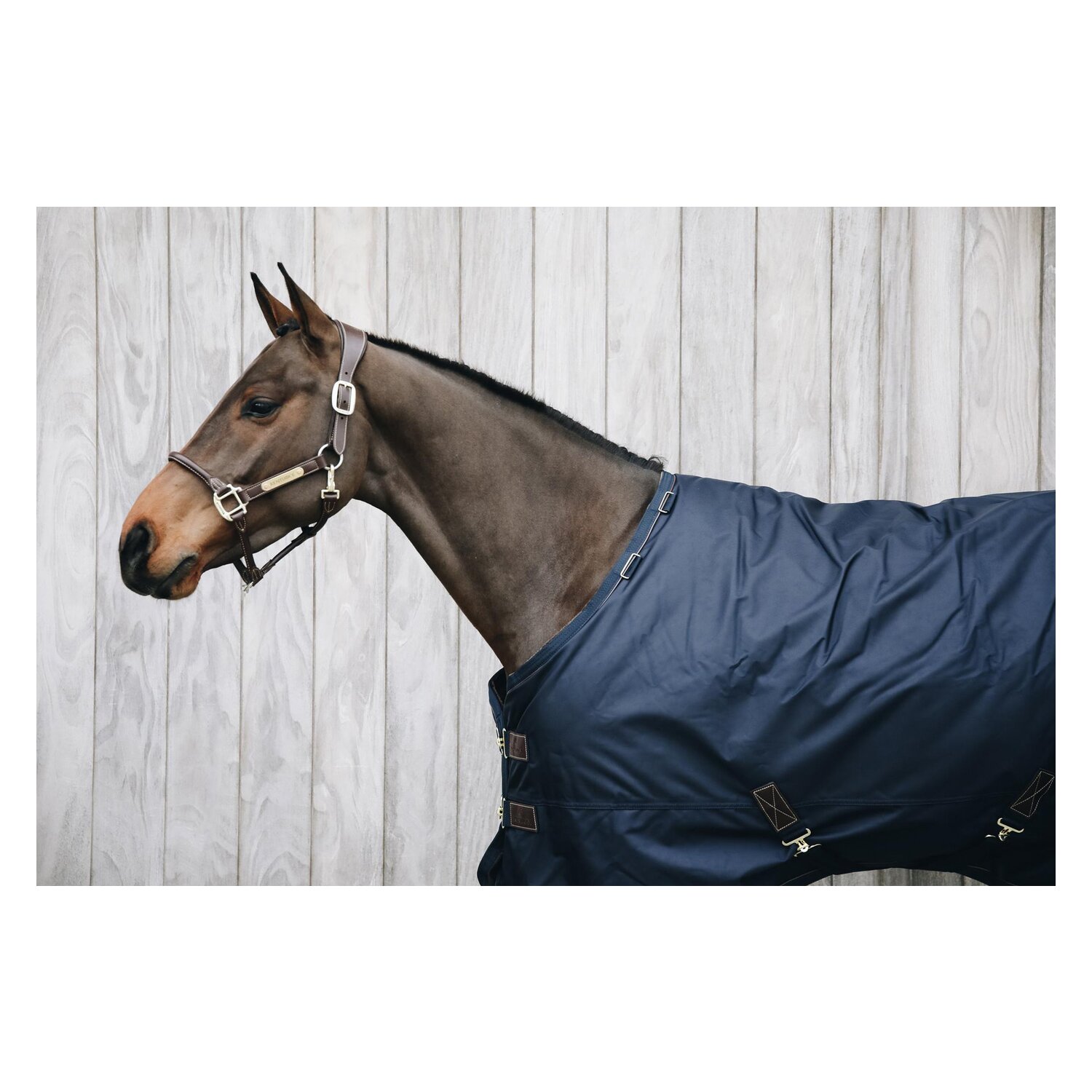 KENTUCKY Weidedecke All Weather Pro – Ansicht 3