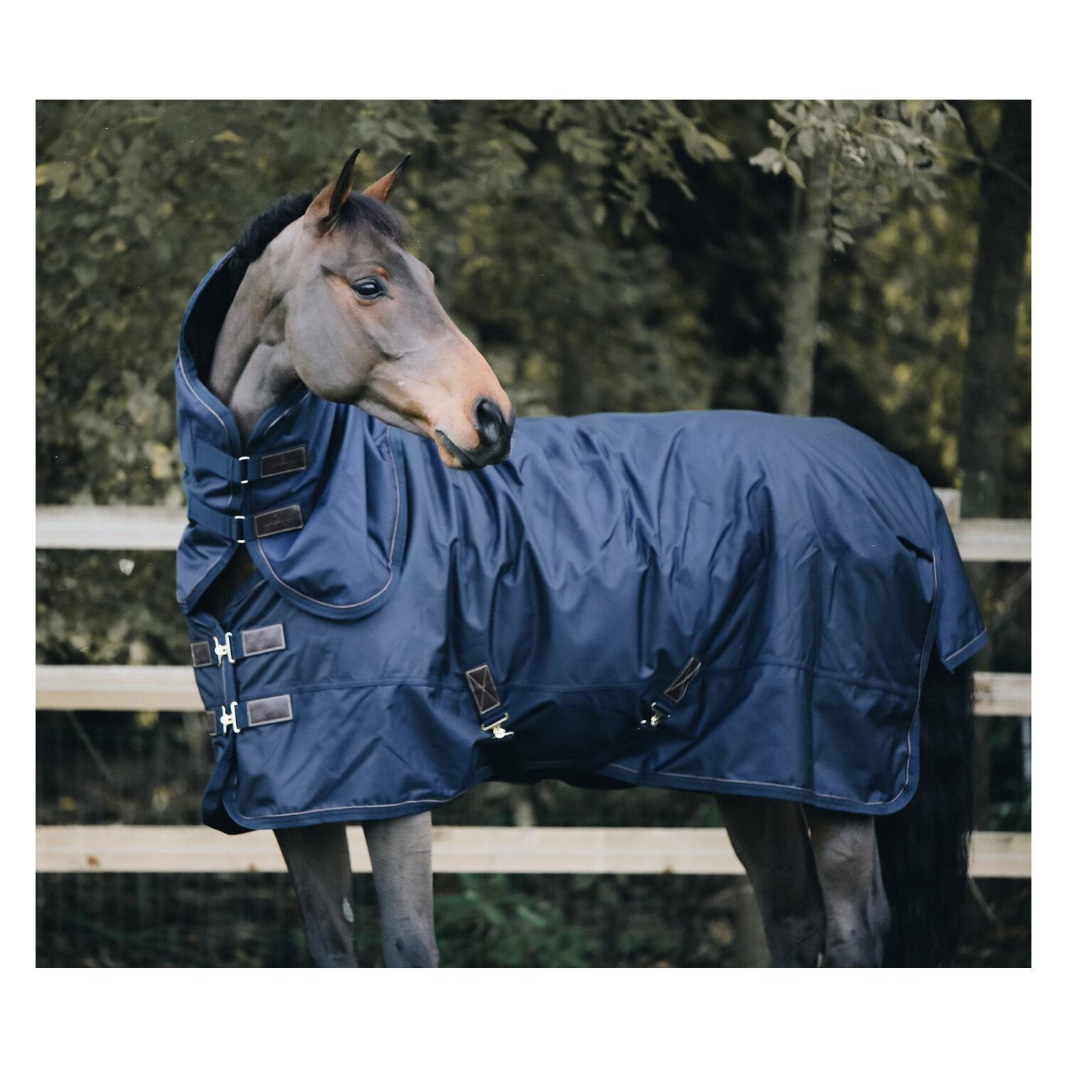 KENTUCKY Weidedecke All Weather Pro – Ansicht 7