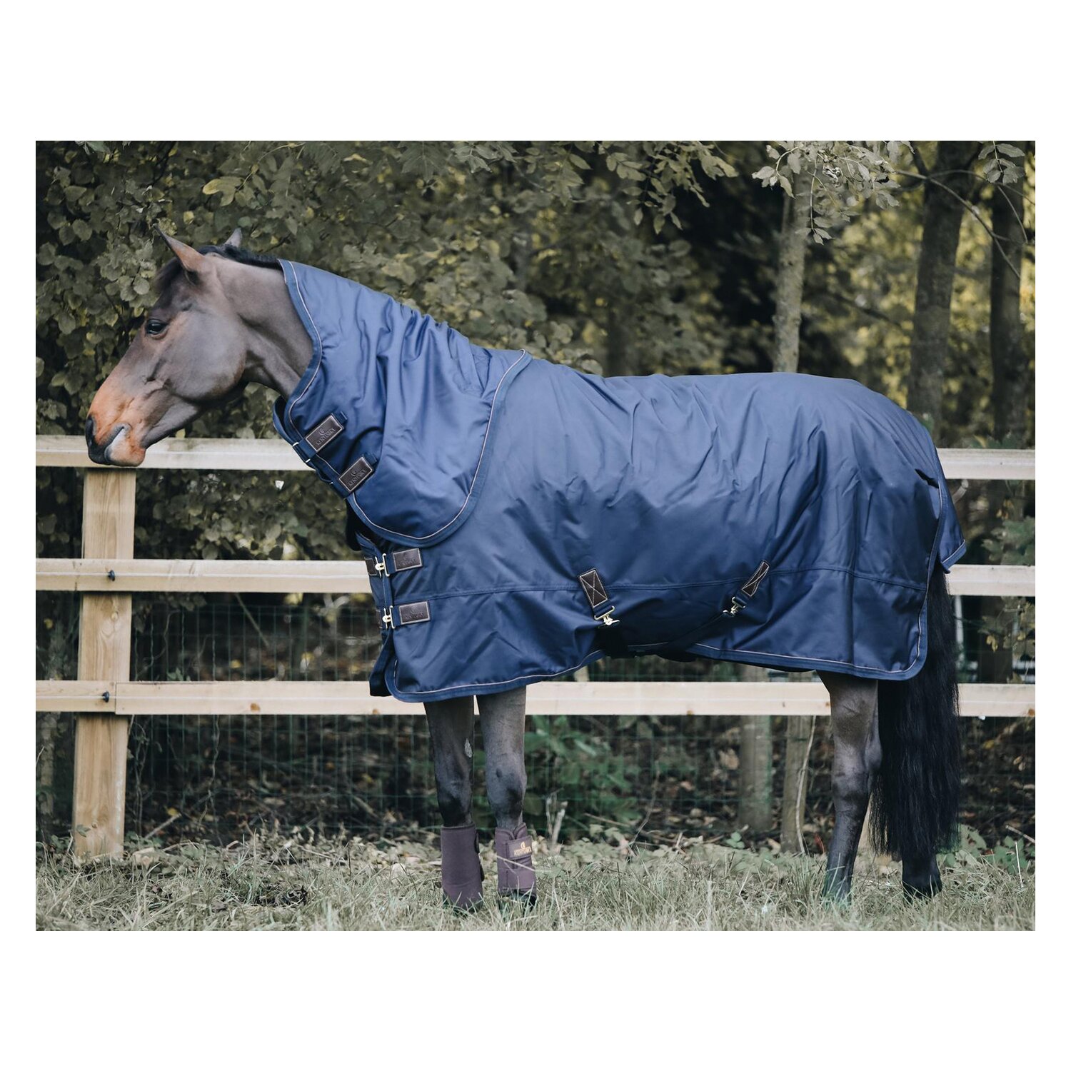 KENTUCKY Weidedecke All Weather Pro – Ansicht 8