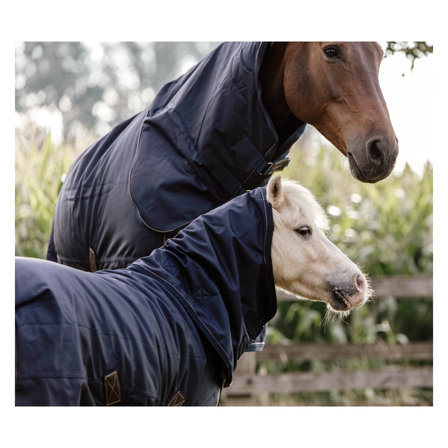 KENTUCKY Weidedecke All Weather Pro – Ansicht 9