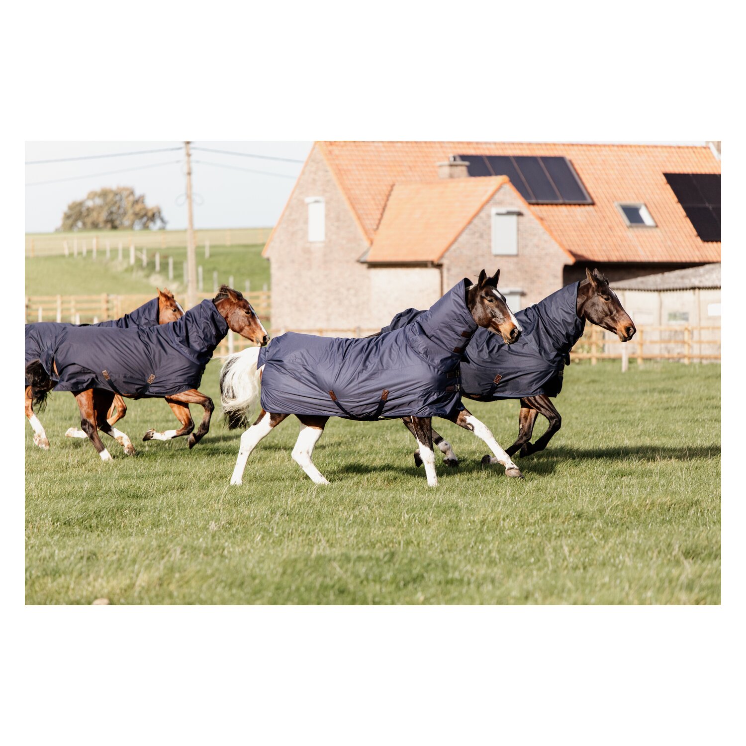 KENTUCKY Outdoordecke All Weather Quick Dry Fleece – Ansicht 4