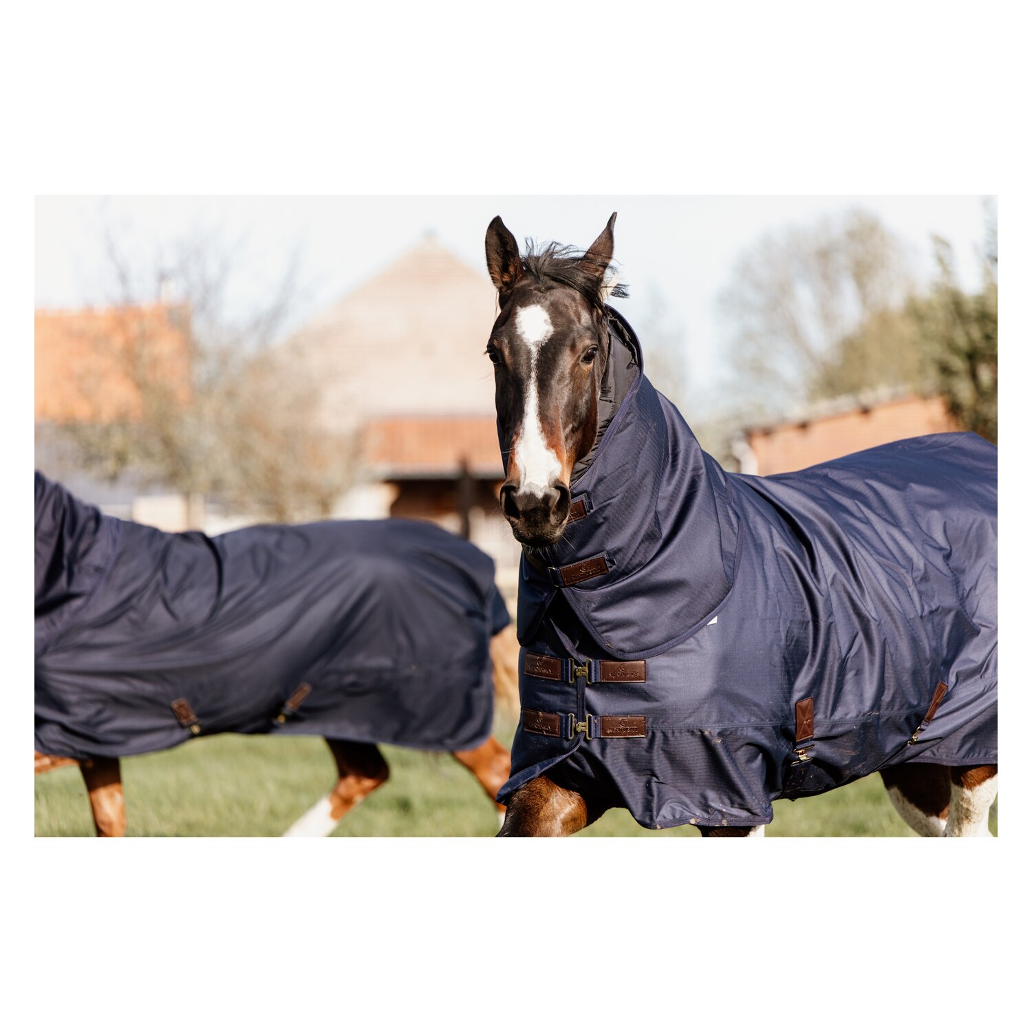 KENTUCKY Outdoordecke All Weather Quick Dry Fleece – Ansicht 2