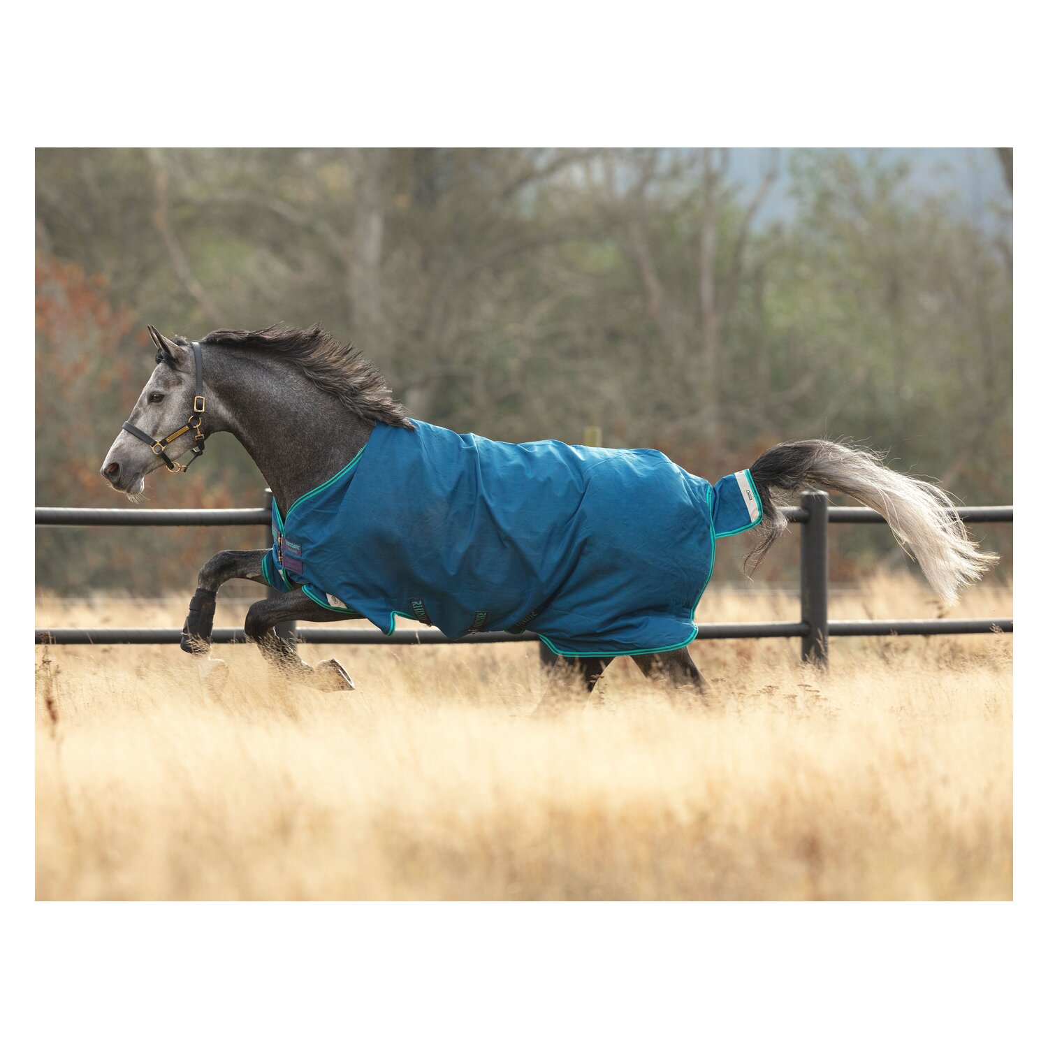 HORSEWARE Outdoordecke RHINO Original Tournout Lite – Ansicht 1