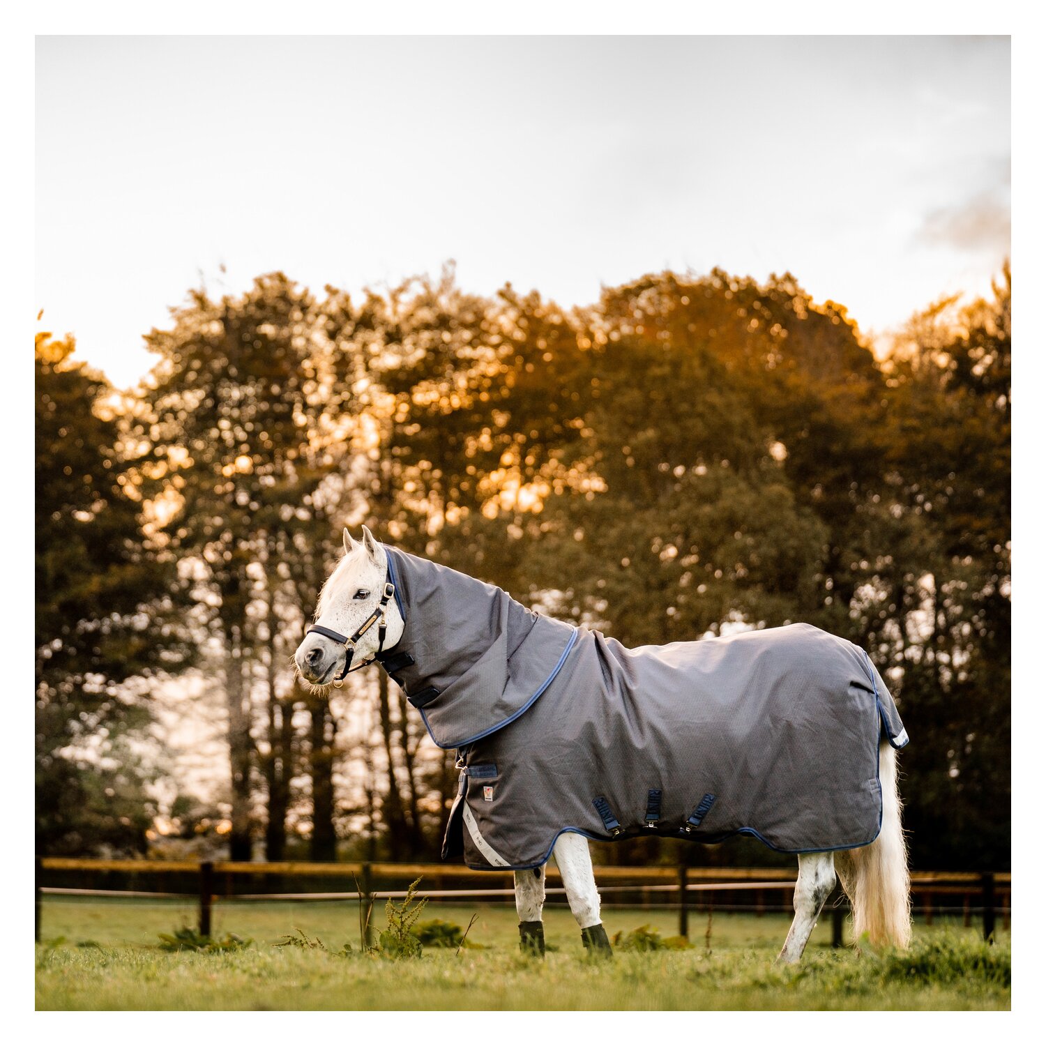 HORSEWARE Outdoor-/Weidedecke RHINO Hexstop Plus mit Vari-Layer – Ansicht 2