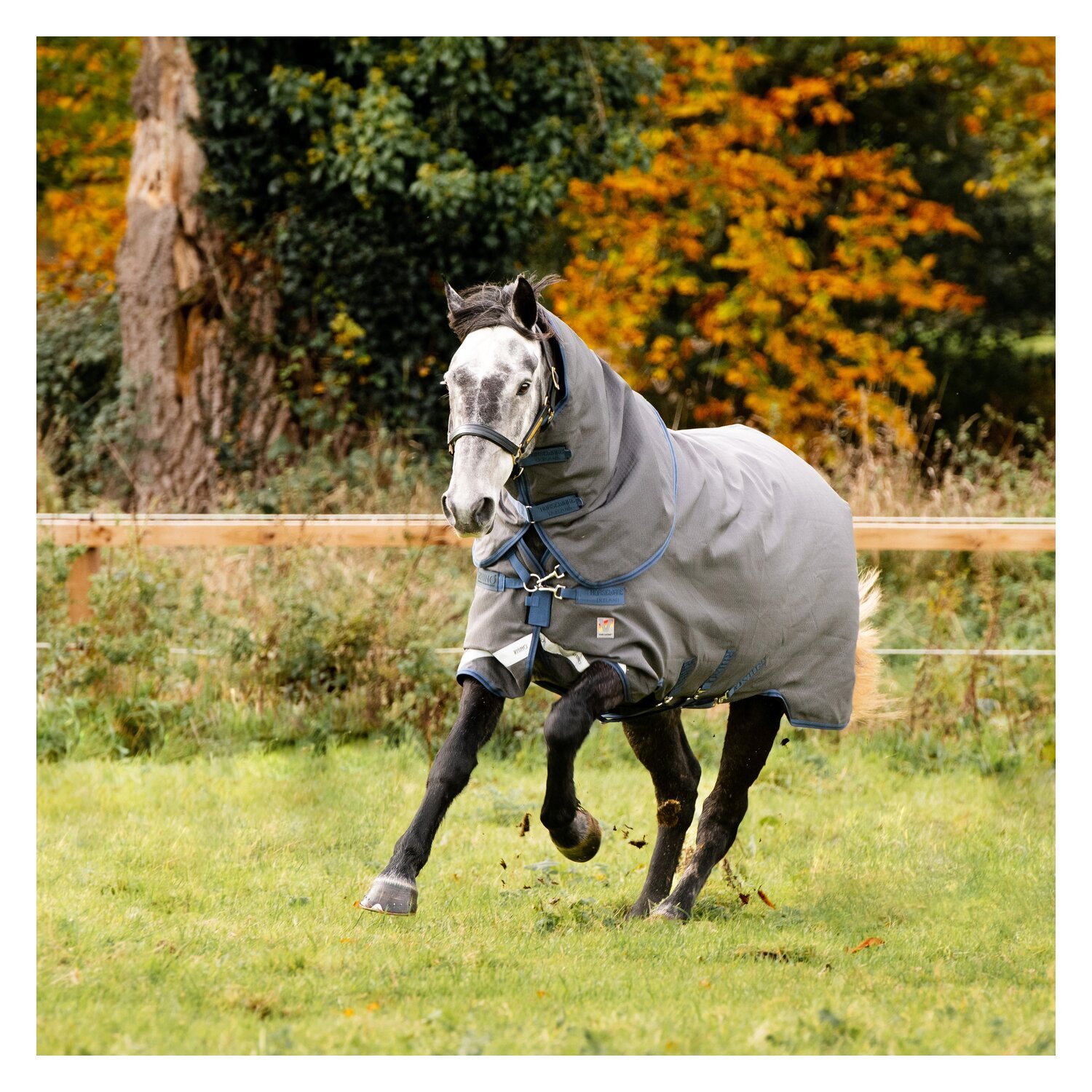 HORSEWARE Outdoor-/Weidedecke RHINO Hexstop Plus mit Vari-Layer – Ansicht 3