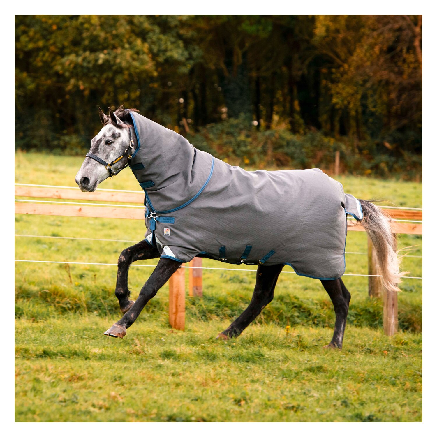 HORSEWARE Outdoor-/Weidedecke RHINO Hexstop Plus mit Vari-Layer – Ansicht 1