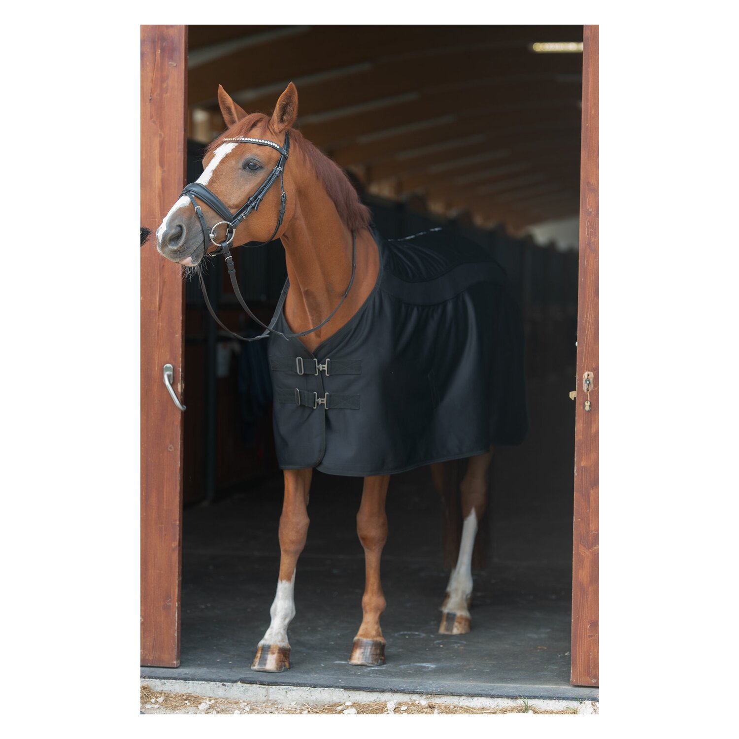 black forest Stall- und Transportdecke Valencia Sommer &ndash; Ansicht 3