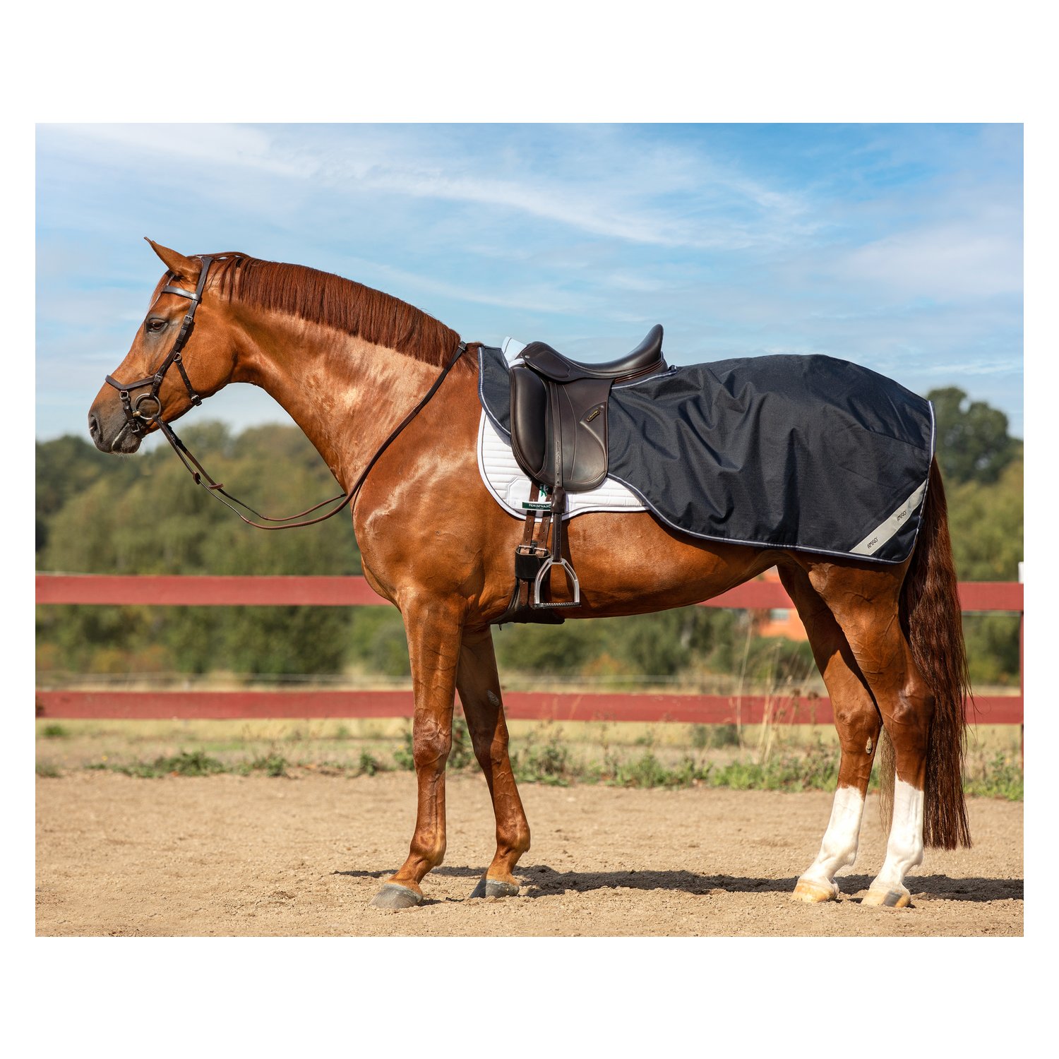 HORSEWARE Ausreitdecke AMIGO Competition Sheet &ndash; Ansicht 1