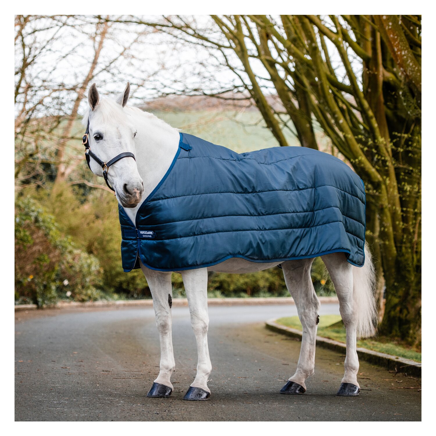 HORSEWARE Unterdecke XL-Liner 200 g – Ansicht 2