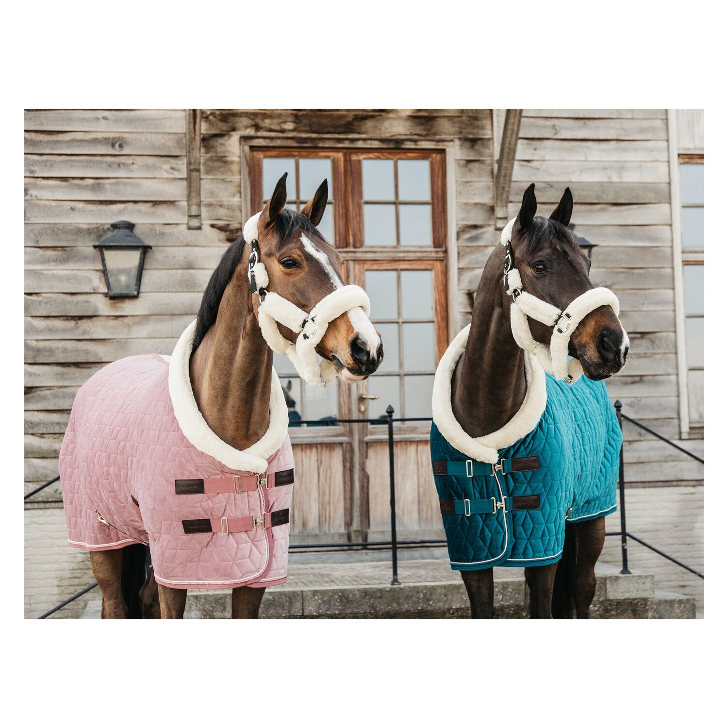 KENTUCKY Show Rug Velvet – Ansicht 4