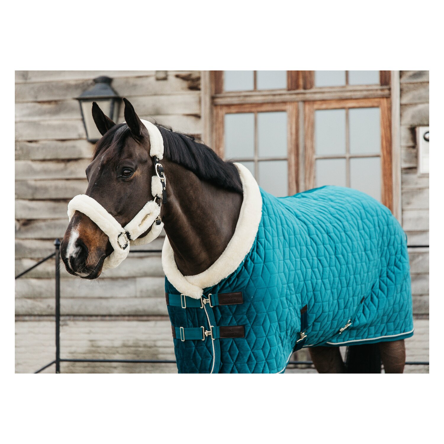 KENTUCKY Show Rug Velvet – Ansicht 2