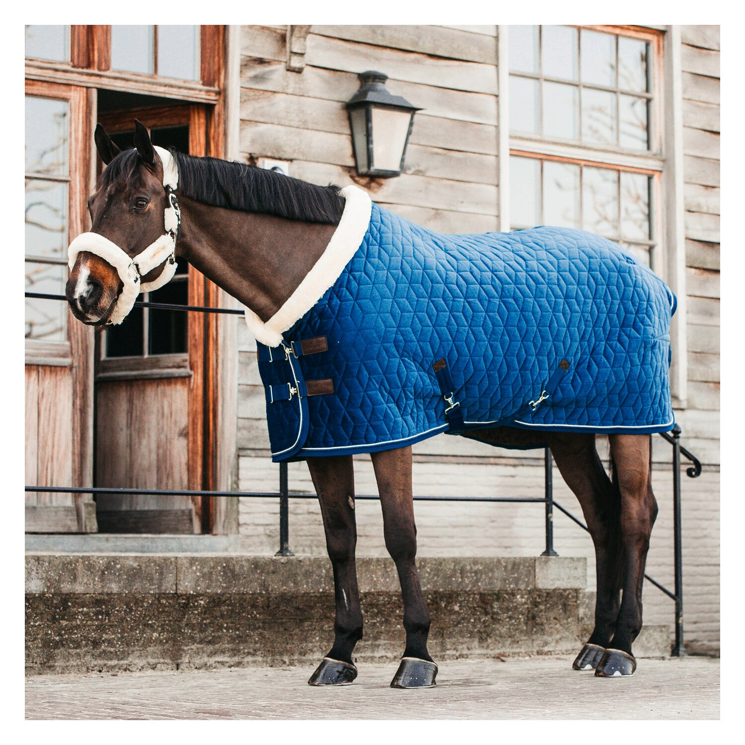 KENTUCKY Show Rug Velvet – Ansicht 2