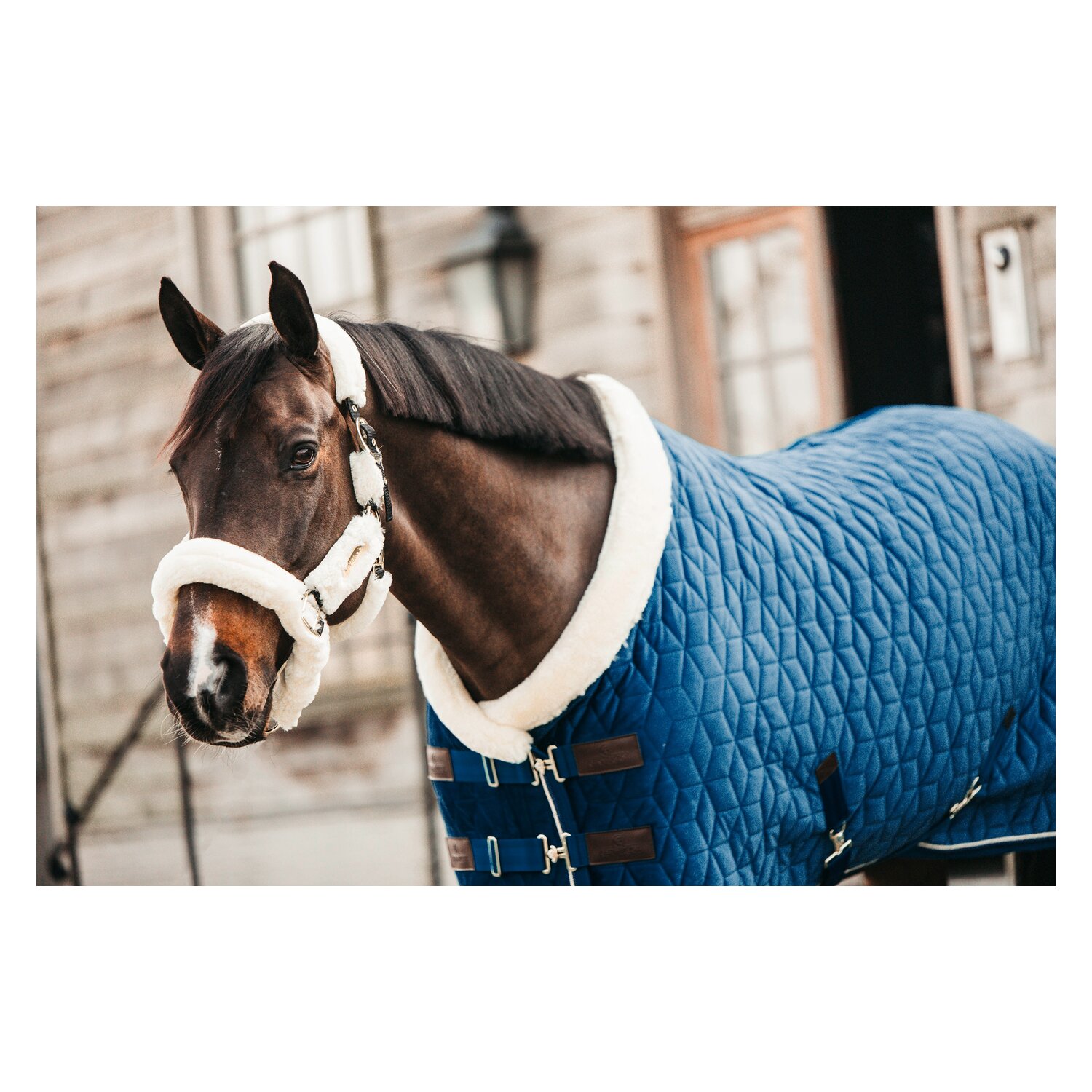KENTUCKY Show Rug Velvet – Ansicht 3