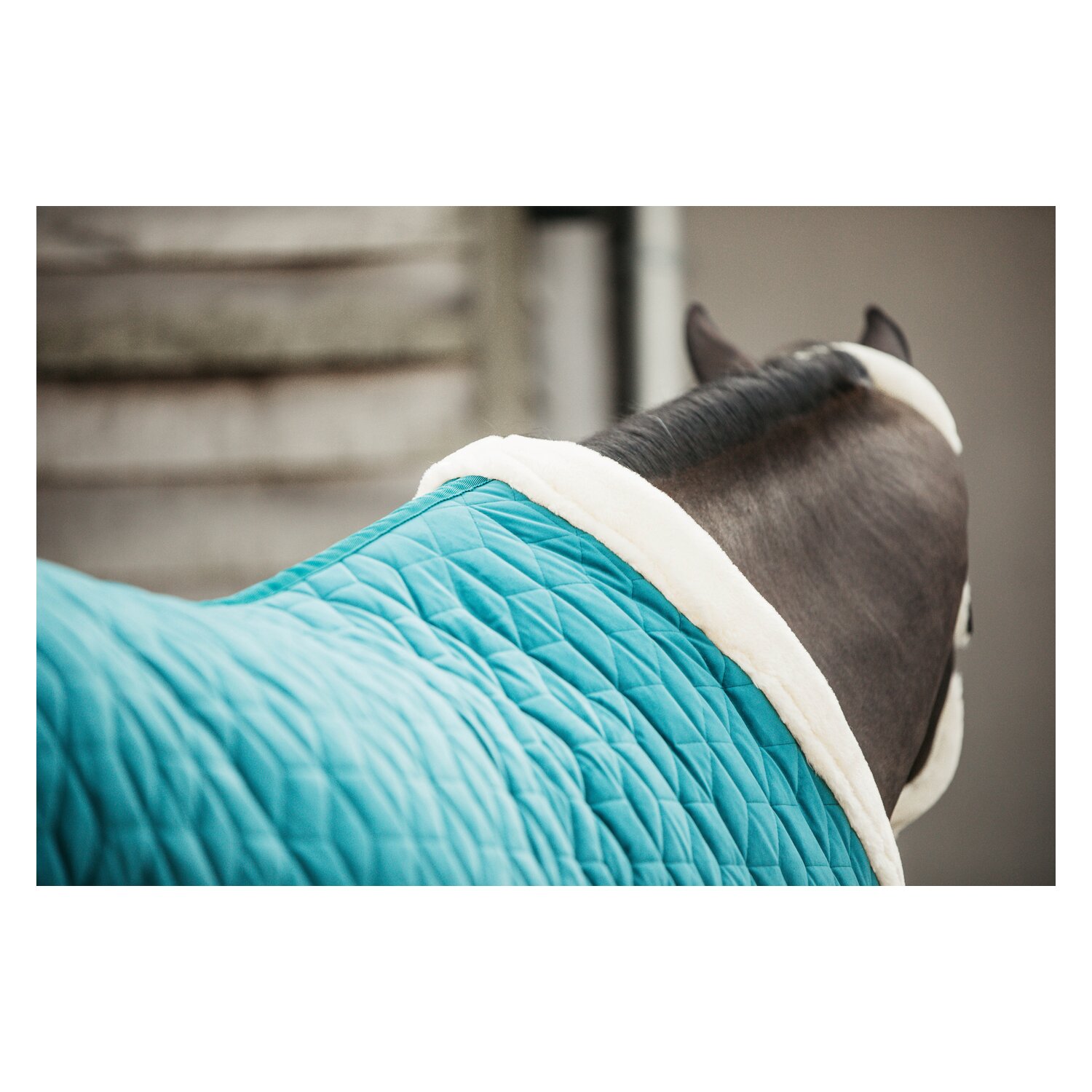 KENTUCKY Show Rug Velvet – Ansicht 3