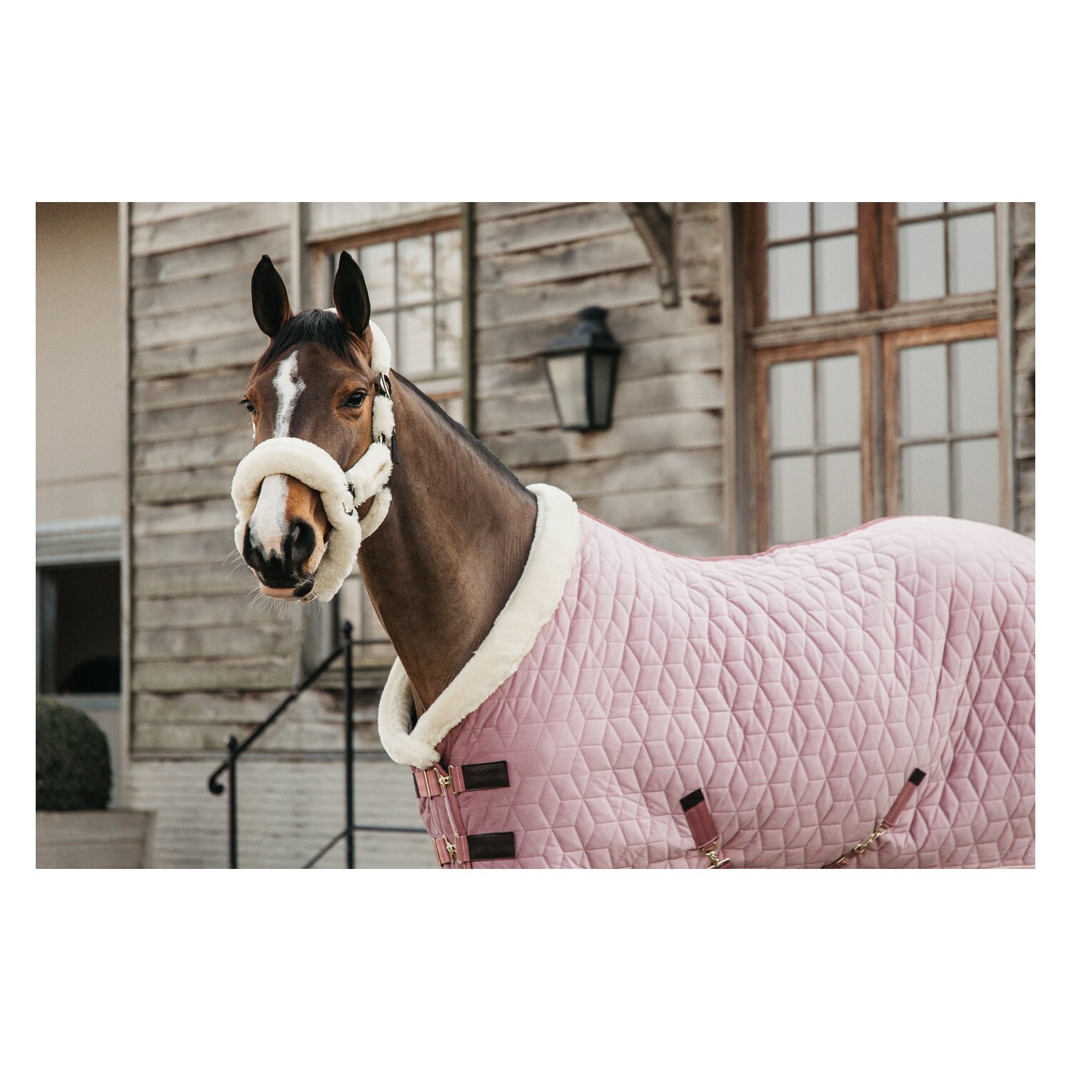 KENTUCKY Show Rug Velvet – Ansicht 2