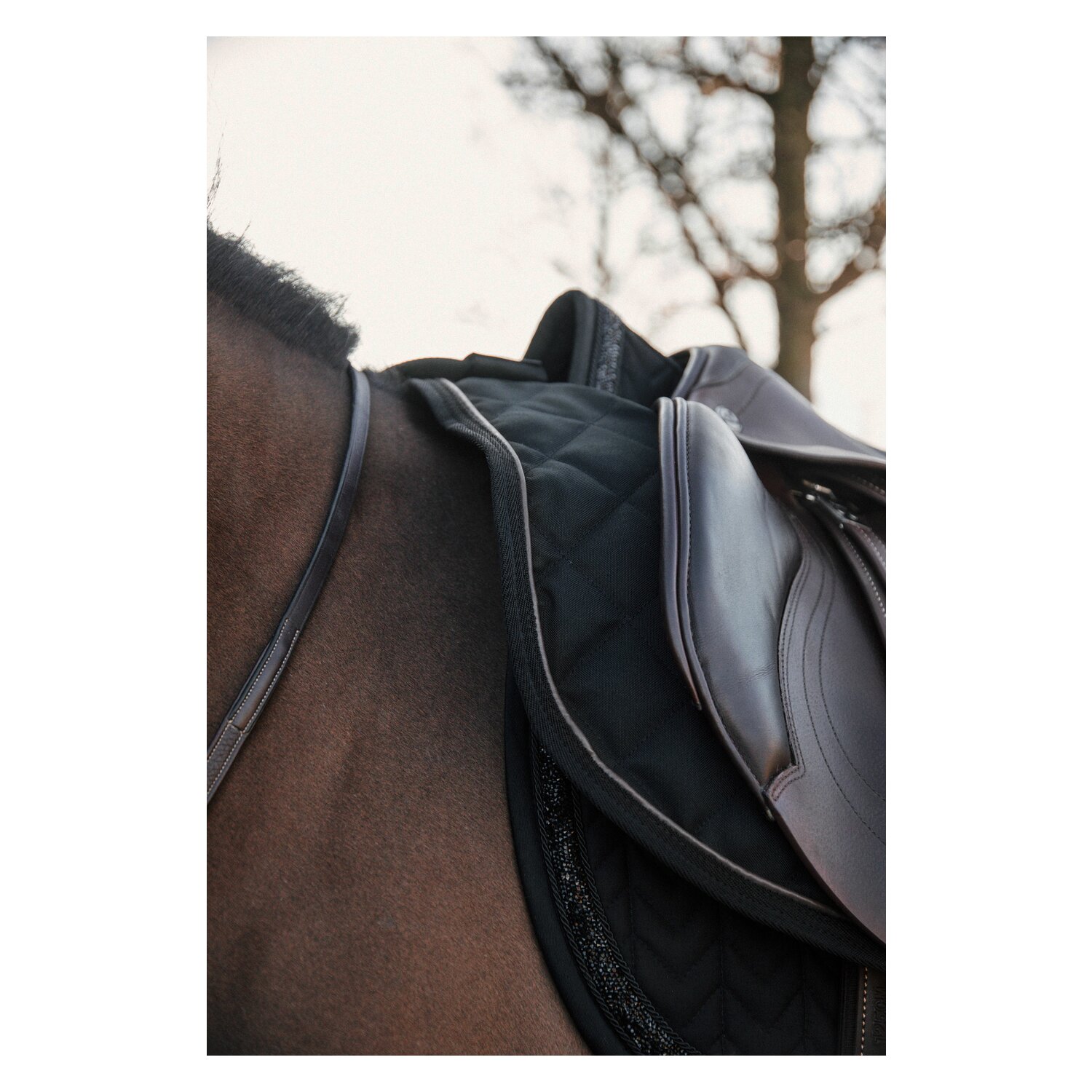 KENTUCKY Ausreitdecke 160 g – Ansicht 5