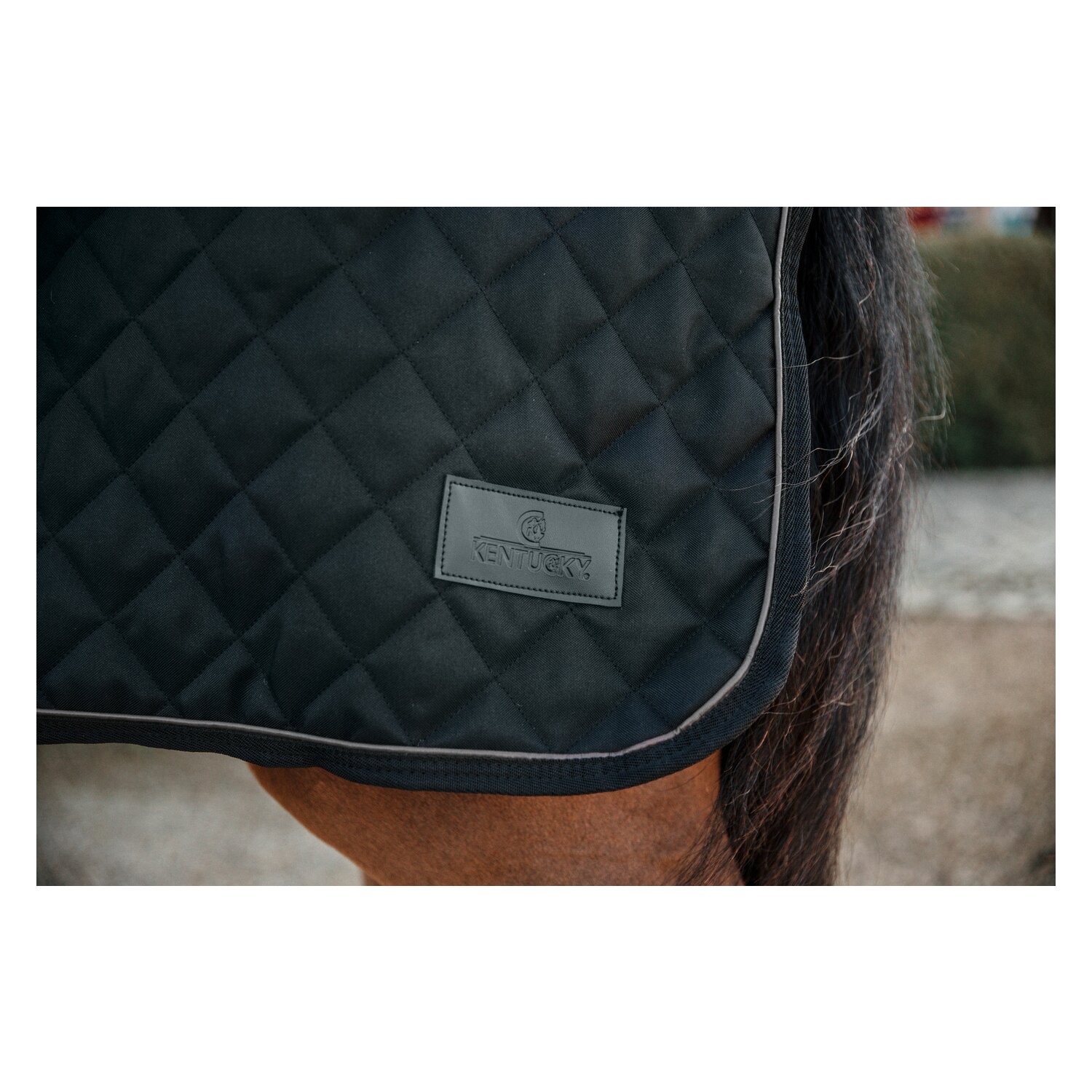 KENTUCKY Ausreitdecke 160 g – Ansicht 6
