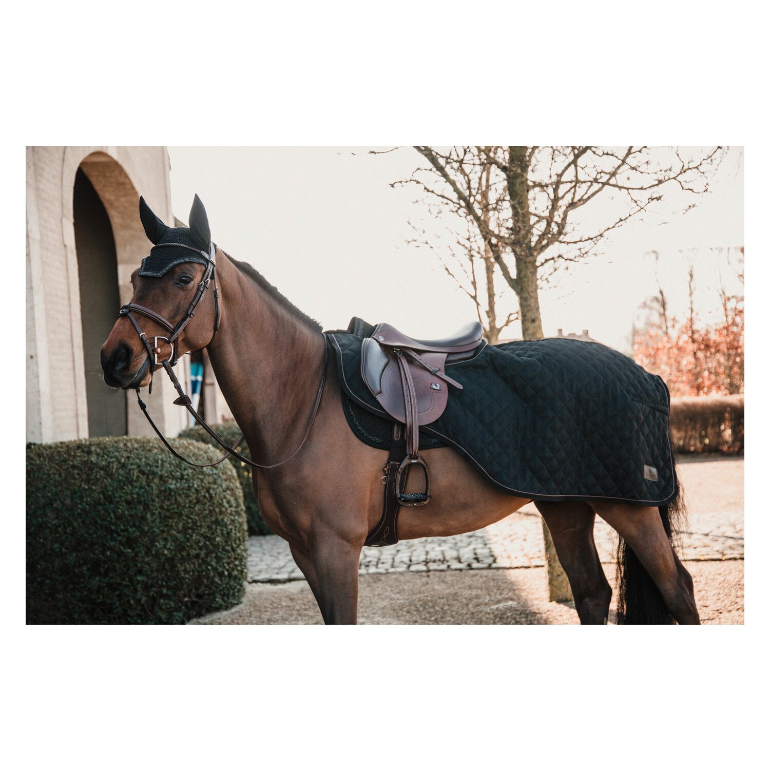 KENTUCKY Ausreitdecke 160 g – Ansicht 7