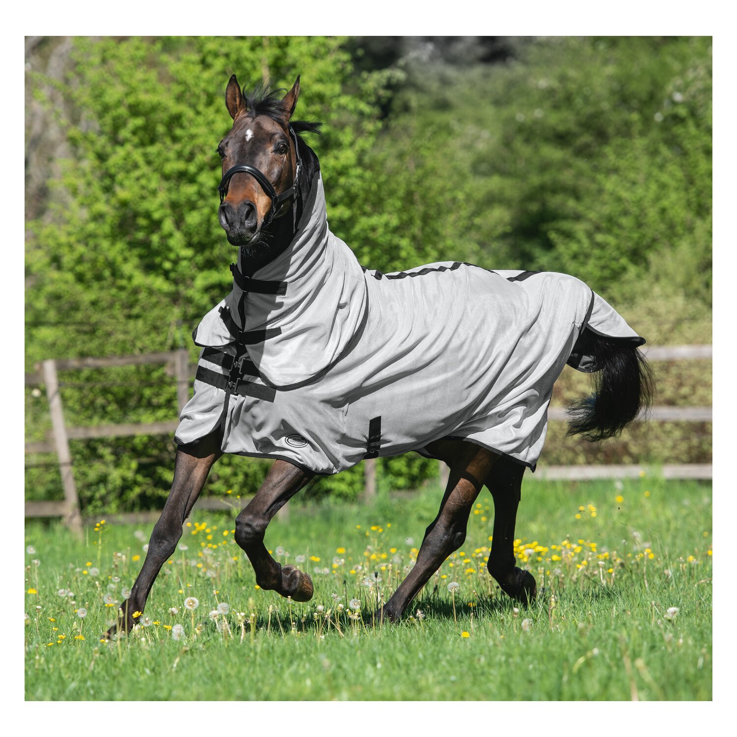 IRISh INNOVATION Fliegendecke Telde – Ansicht 3