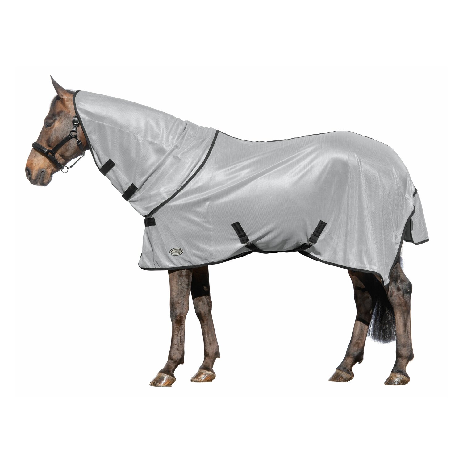 IRISh INNOVATION Fliegendecke Telde – Ansicht 1