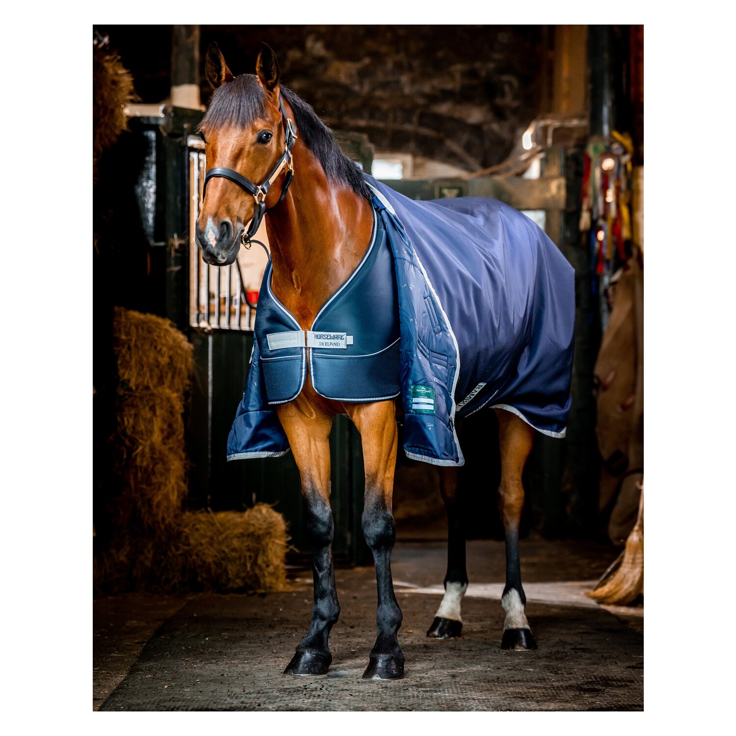 HORSEWARE Unterdecke Dry Liner – Ansicht 3