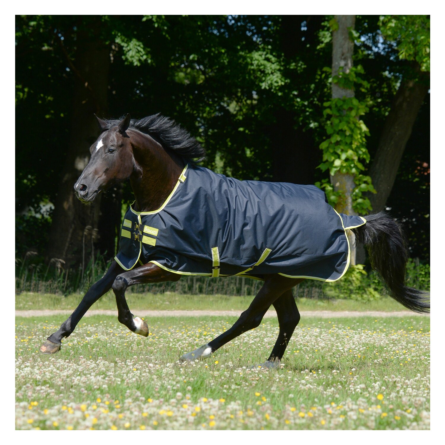 bucas Outdoordecke Oasis Turnout – Ansicht 2