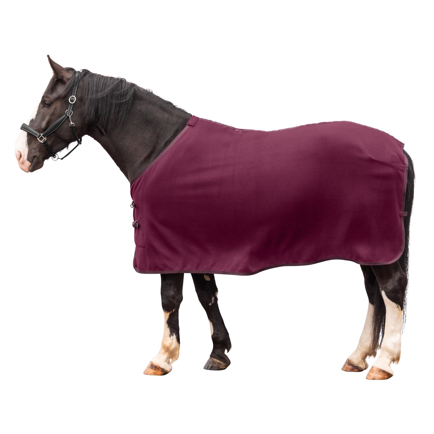 Horse-friends Abschwitzdecke XL Dakar – Ansicht 1