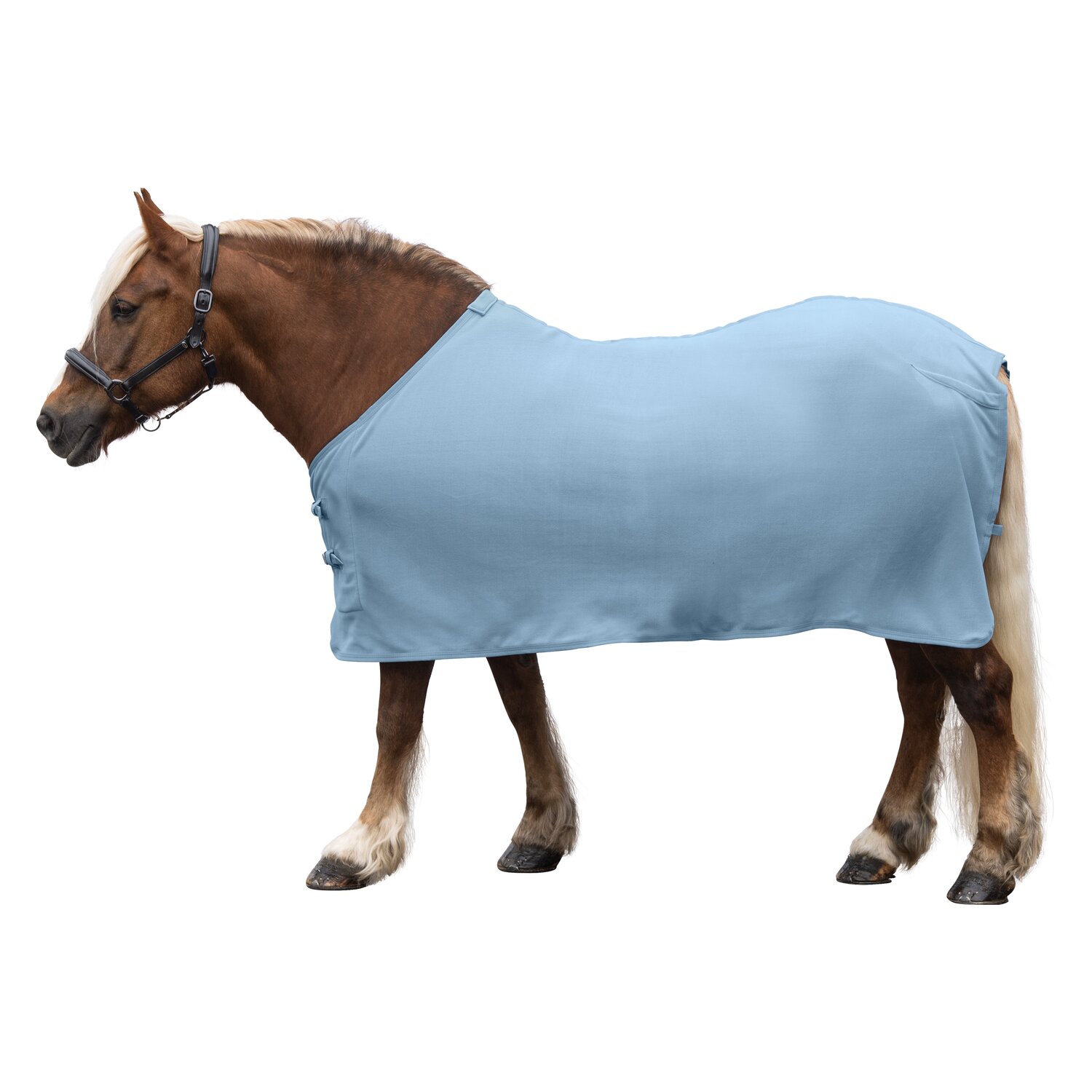 Horse-friends Abschwitzdecke XL Dakar – Ansicht 1
