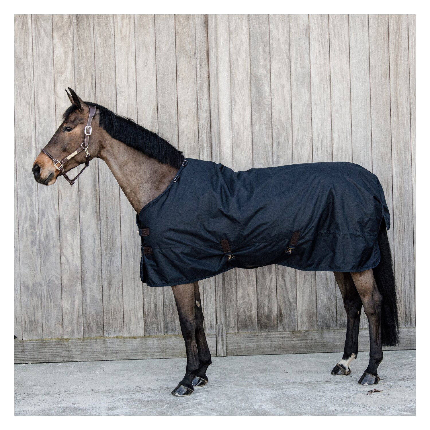 KENTUCKY Outdoordecke All Weather Classic 50g – Ansicht 2