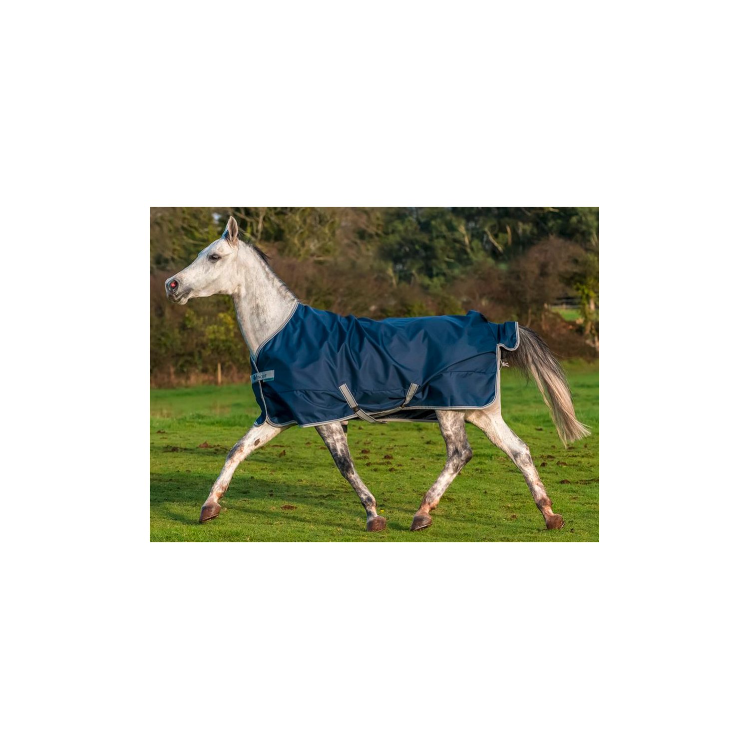 bucas Outdoordecke Freedom Turnout Light Pony – Ansicht 6