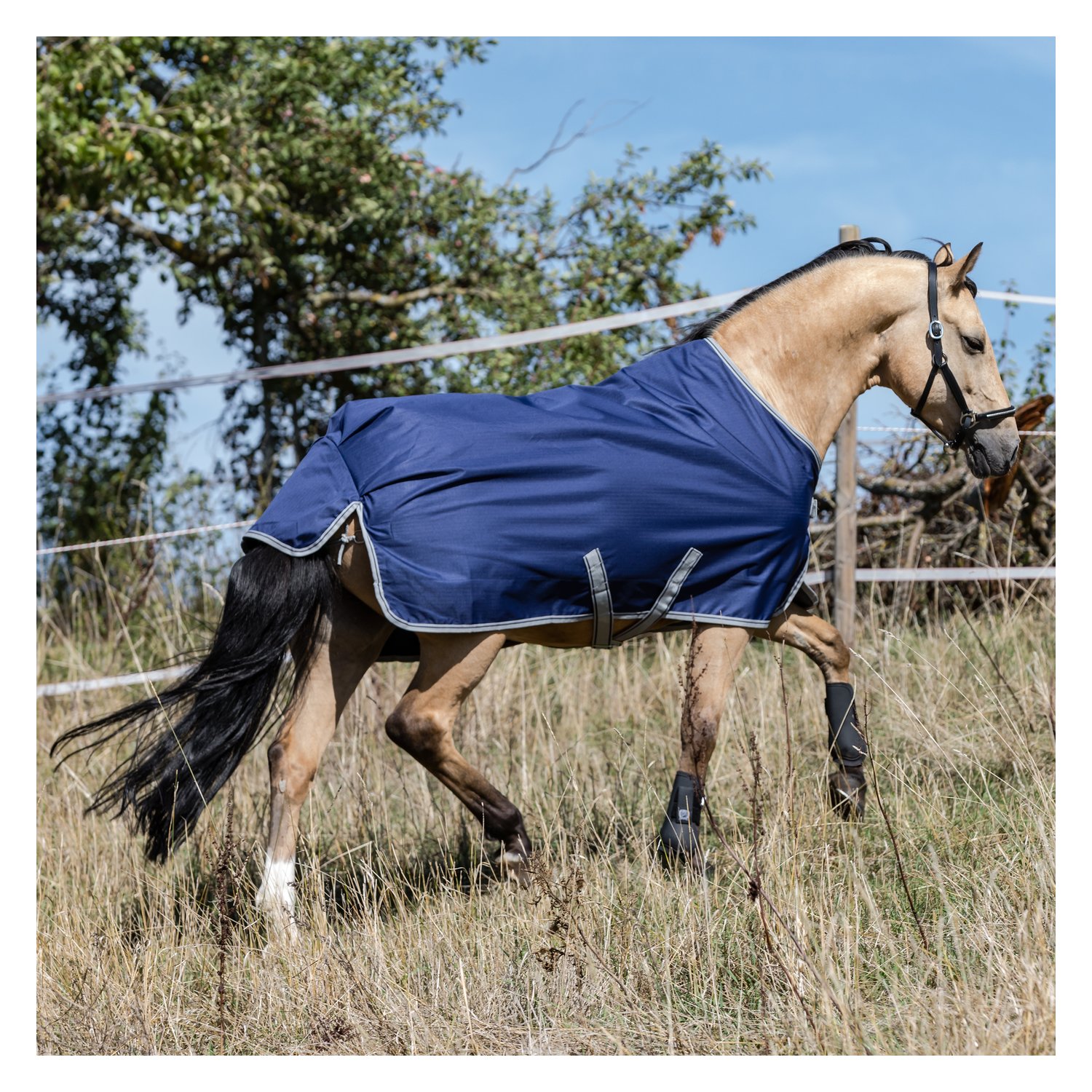 bucas Outdoordecke Freedom Turnout Light Pony – Ansicht 4
