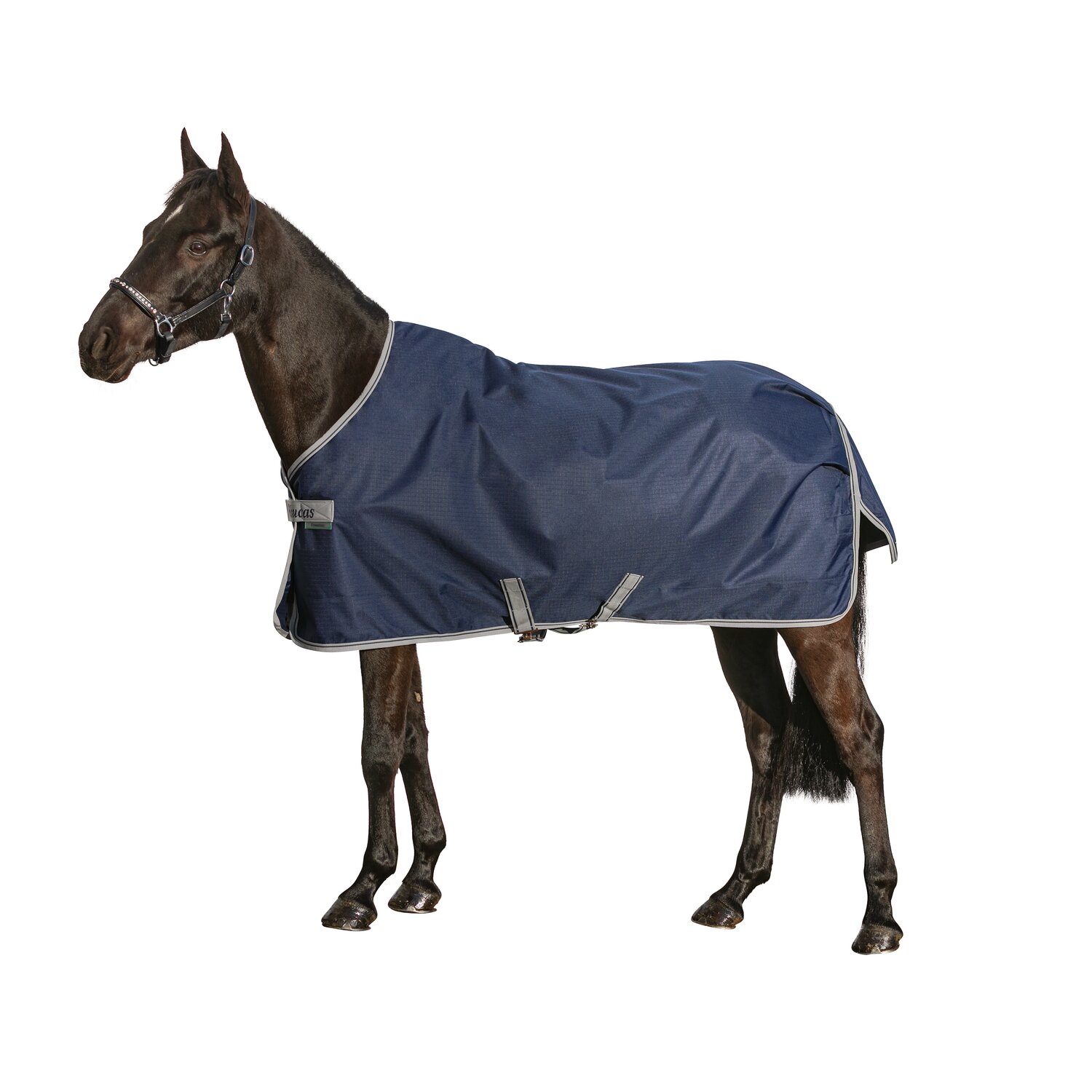bucas Outdoordecke Freedom Turnout Light Pony – Ansicht 1