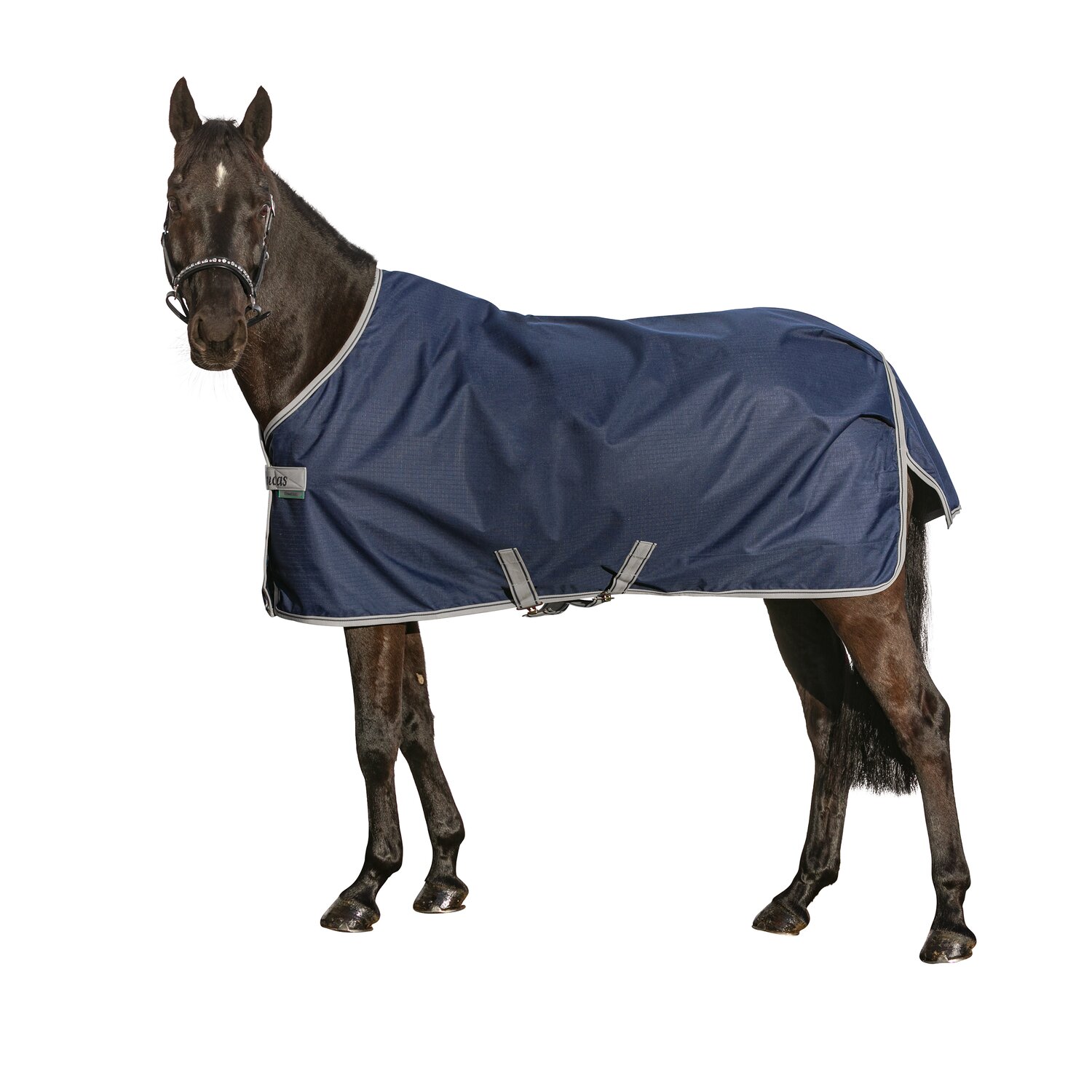 bucas Outdoordecke Freedom Turnout Light Pony – Ansicht 5