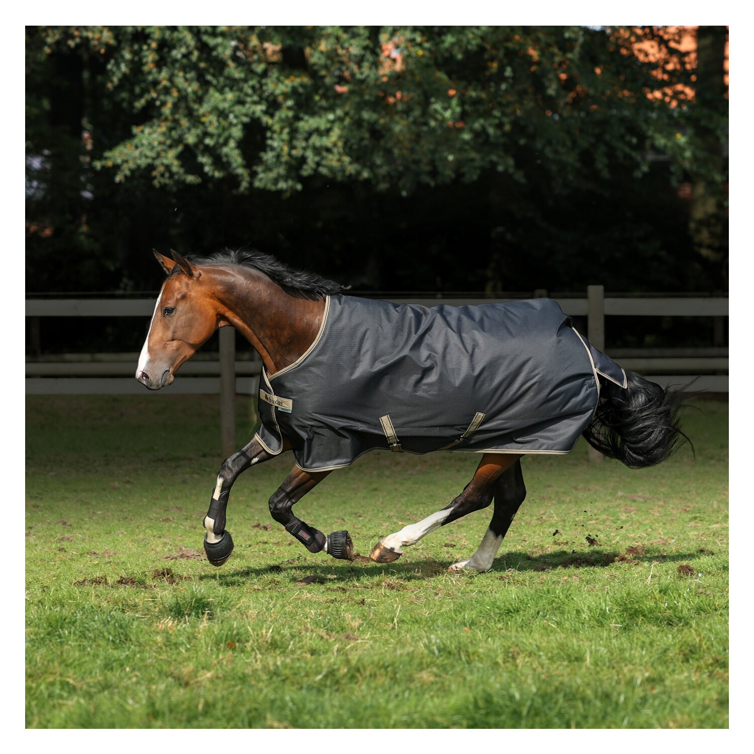 bucas Outdoordecke Freedom Turnout Light Pony &ndash; Ansicht 1