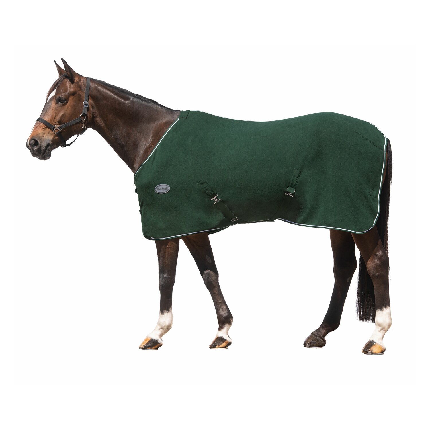 Horse-friends Abschwitzdecke – Ansicht 2