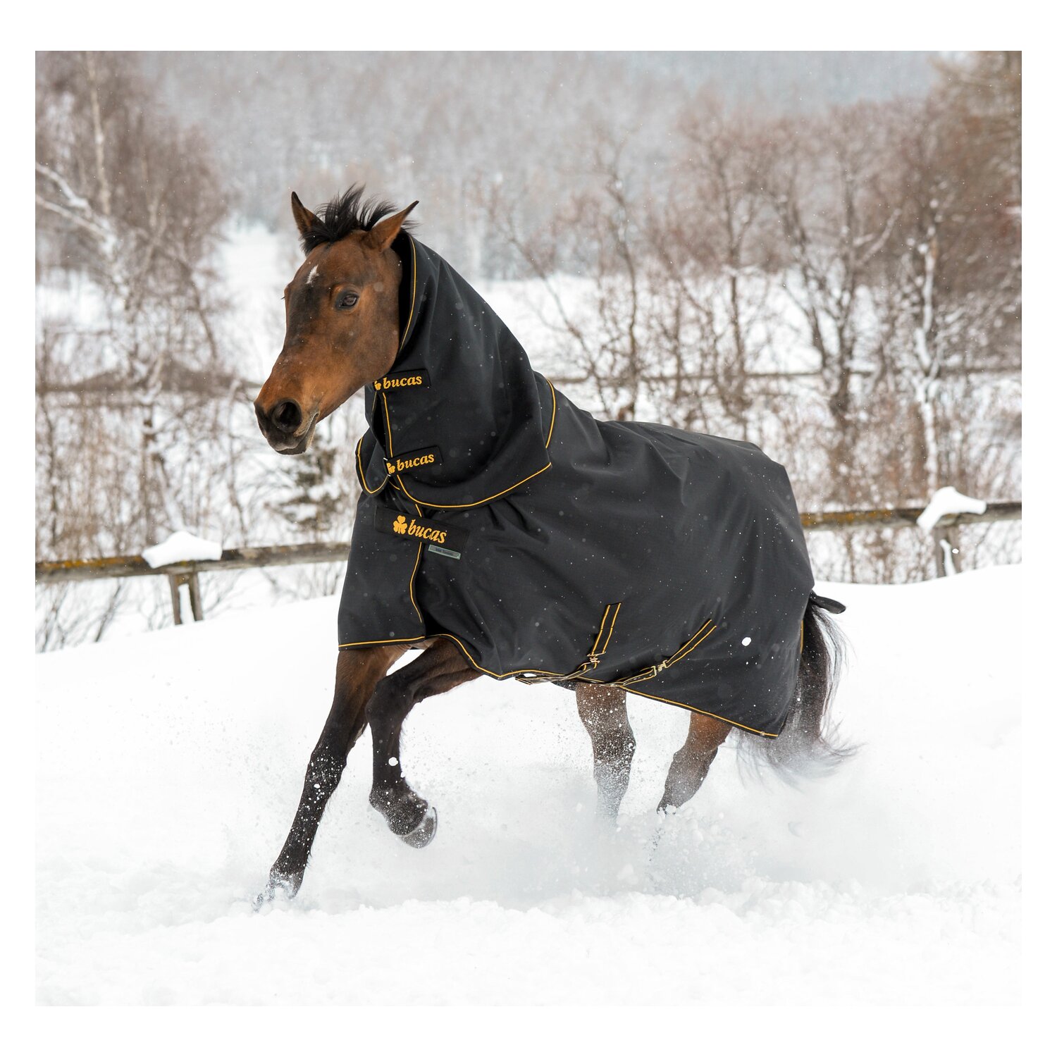 bucas Halsteil Irish Turnout Combi Neck – Ansicht 2