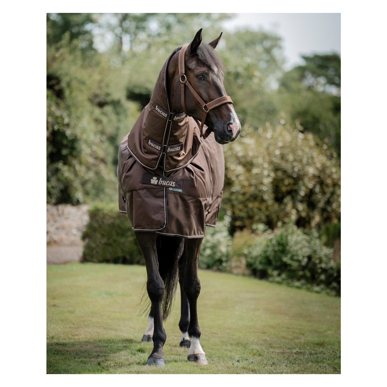 bucas Halsteil Irish Turnout Combi Neck &ndash; Ansicht 2