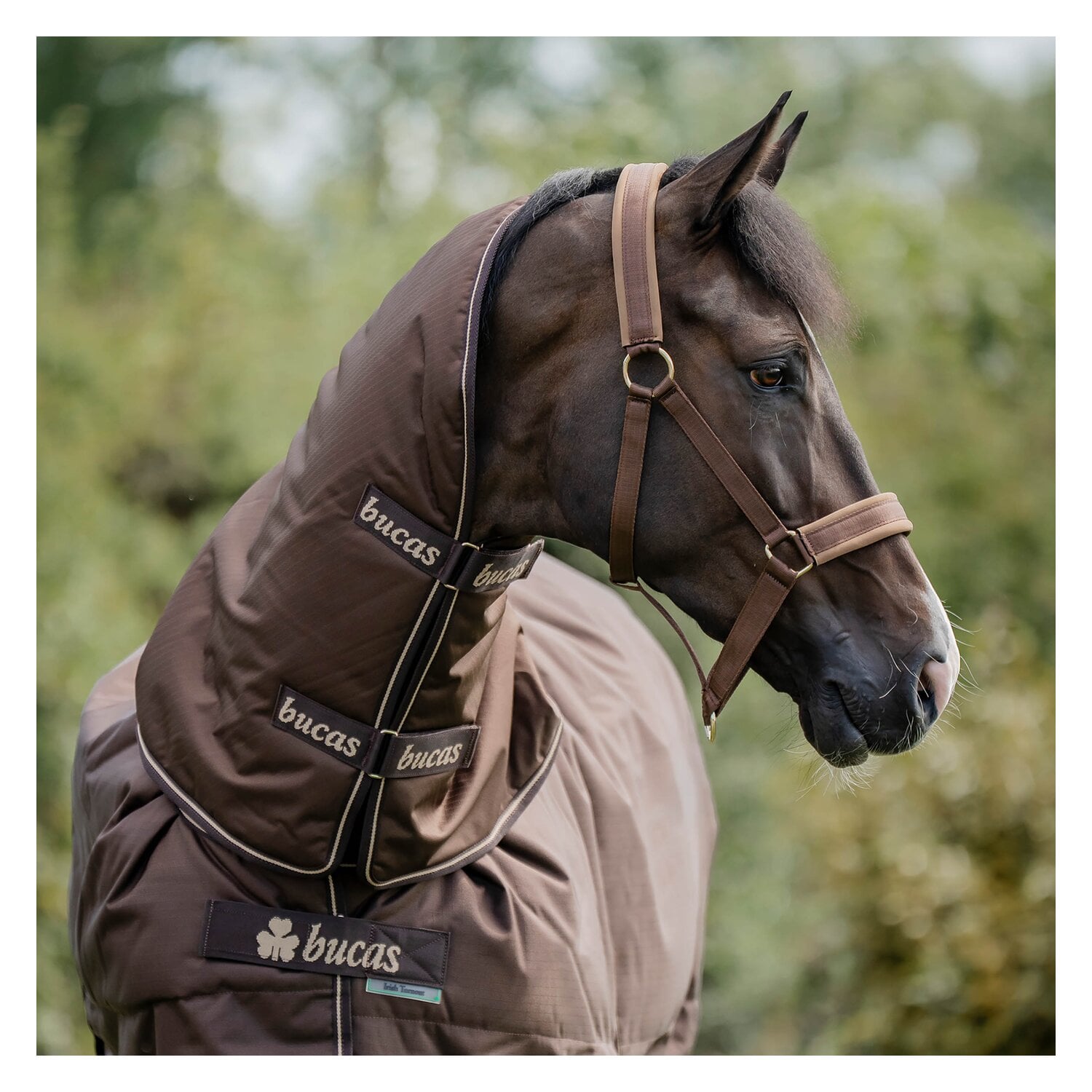 bucas Halsteil Irish Turnout Combi Neck &ndash; Ansicht 2