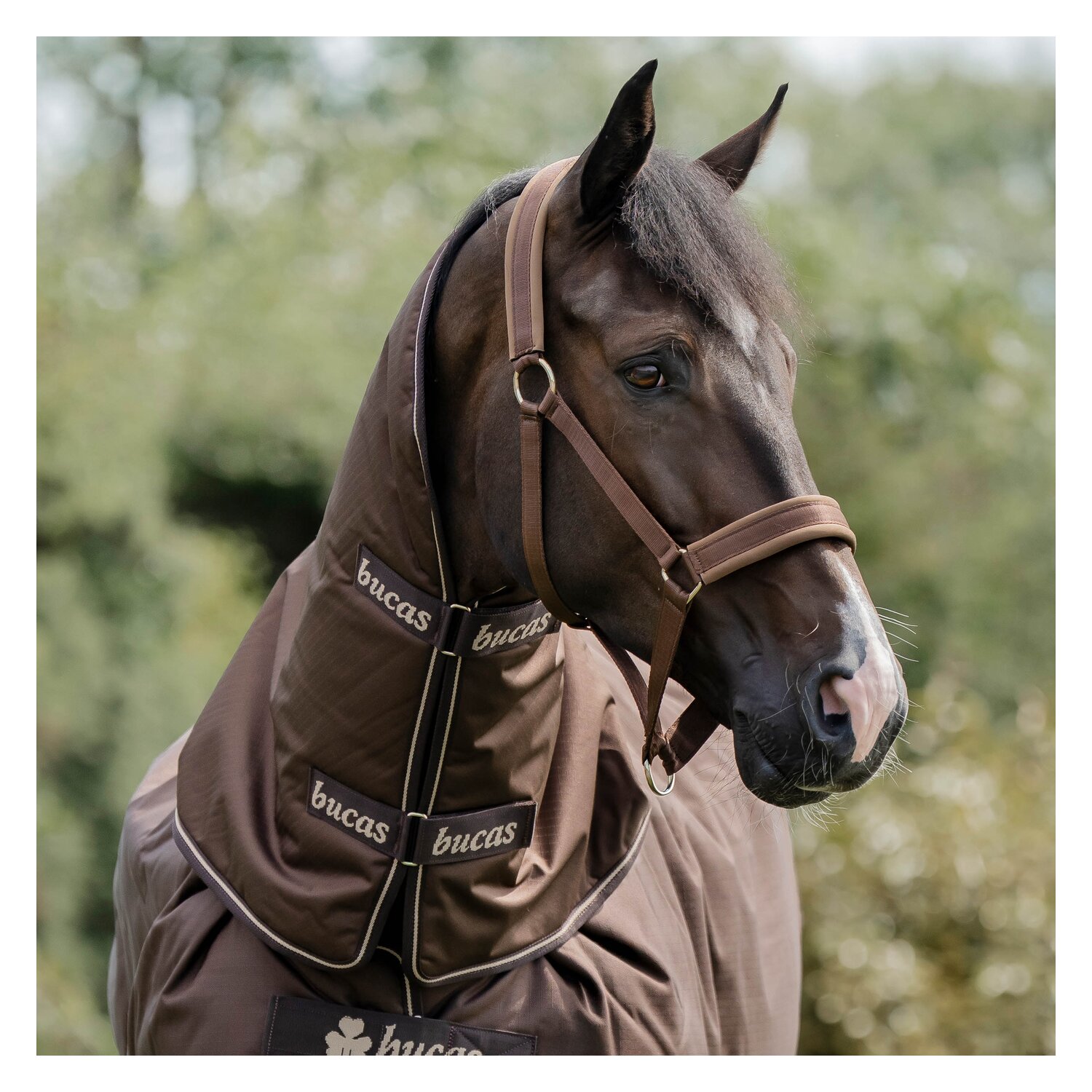 bucas Halsteil Irish Turnout Combi Neck &ndash; Ansicht 1