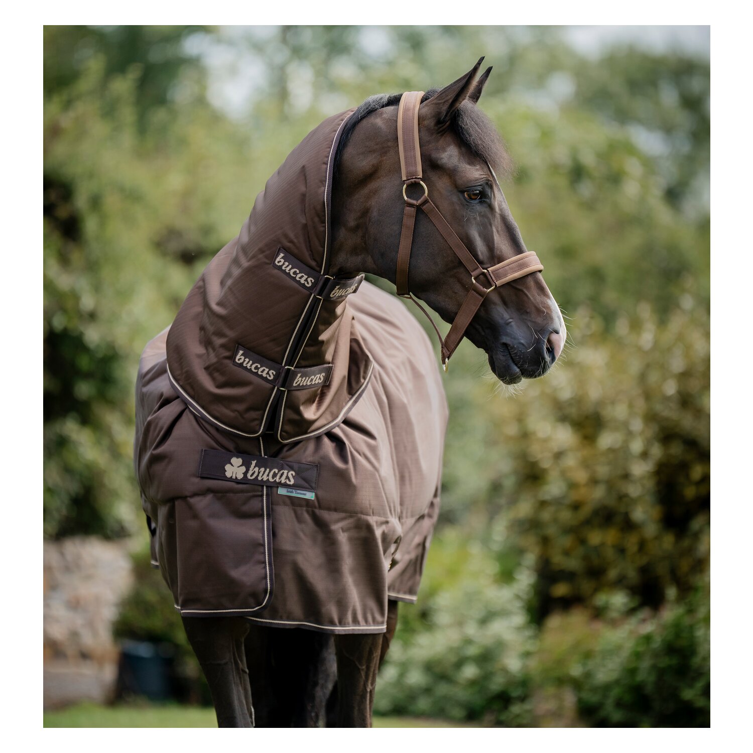 bucas Halsteil Irish Turnout Combi Neck &ndash; Ansicht 1