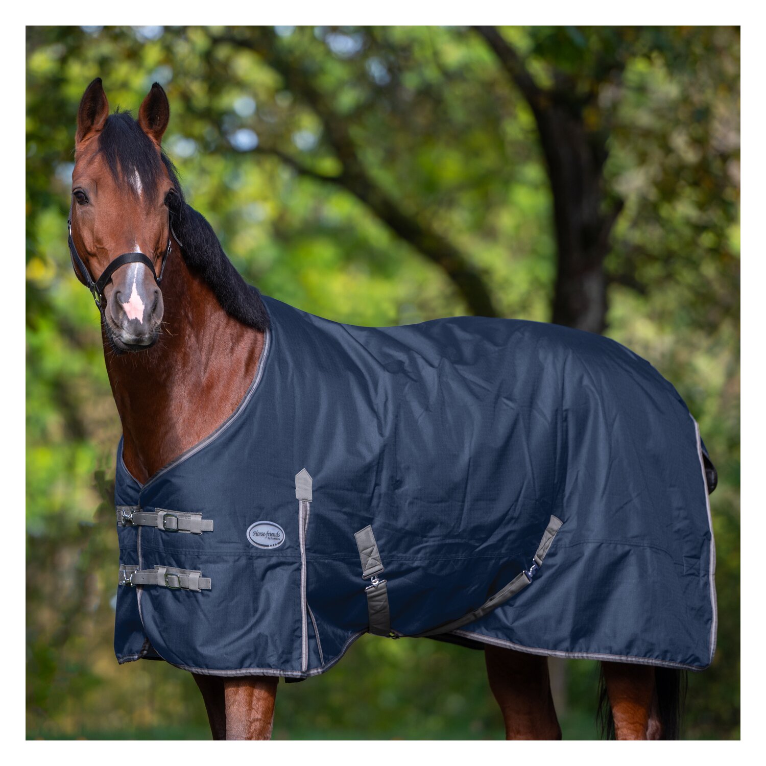 Horse-friends Outdoordecke Hamburg, 200g – Ansicht 4