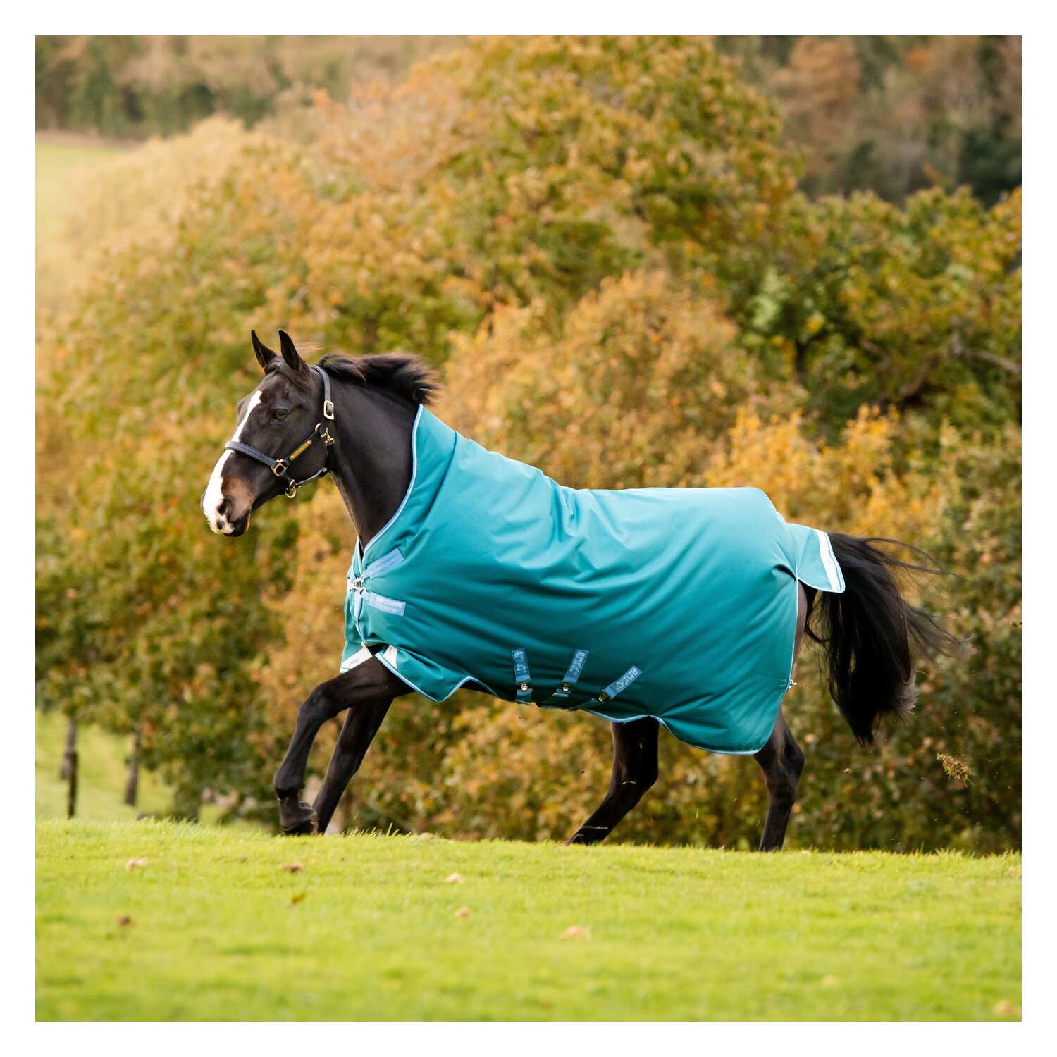 Horseware Outdoordecke AMIGO Bravo 12 Wug Lite – Ansicht 1