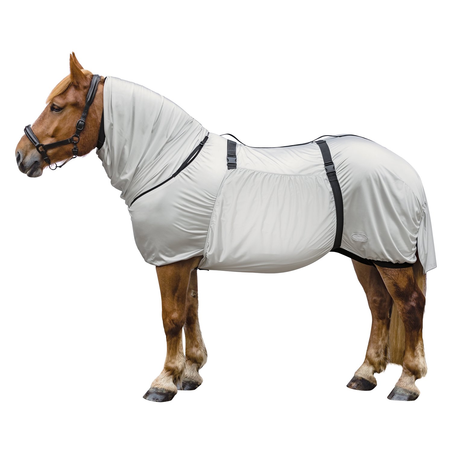 Horse-friends Ekzemerdecke XL – Ansicht 1