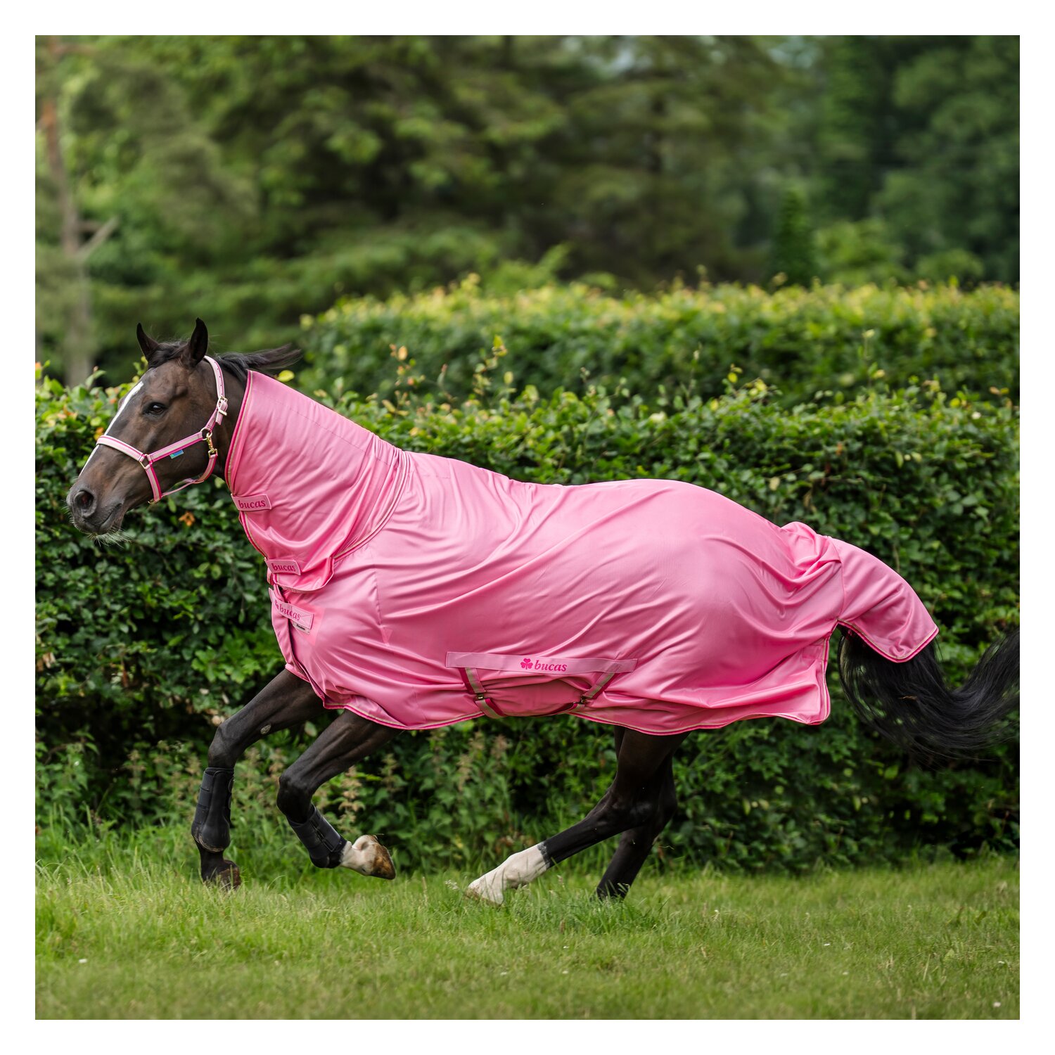 bucas Fliegendecke Freedom Fly Sheet &ndash; Ansicht 1